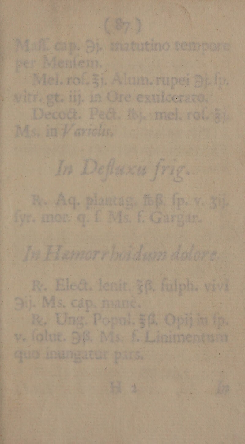 A Mel Mr sí Alum. rupei Bs. itr. gt. iij. in Ore'exulcerato. — E : ENGUM- Ped. i: melrabdy d T5. MOL Ses [inp E We Àq. planas, fof fp. v | y mo: aq i ME y: Guge. -R -Ele&amp;. denit. s&amp;1 ES Ms. cip. Ton |