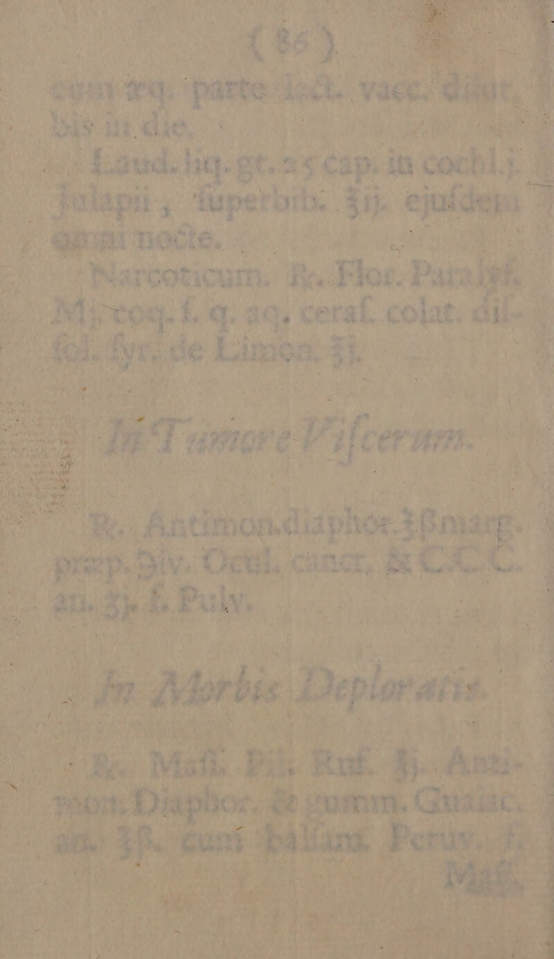 deem eg. quie: kà. : t. Miri La «die. ] vaéc: clips. A | wd, Jig. pt.55 -— pasen h y Ie jj ms 5 ' INarcoticum. fi. Mos: Paral p / Mireoq. f. q. aq. ceraf. colat. is ME de awpek moa. Ho L j Tour V T