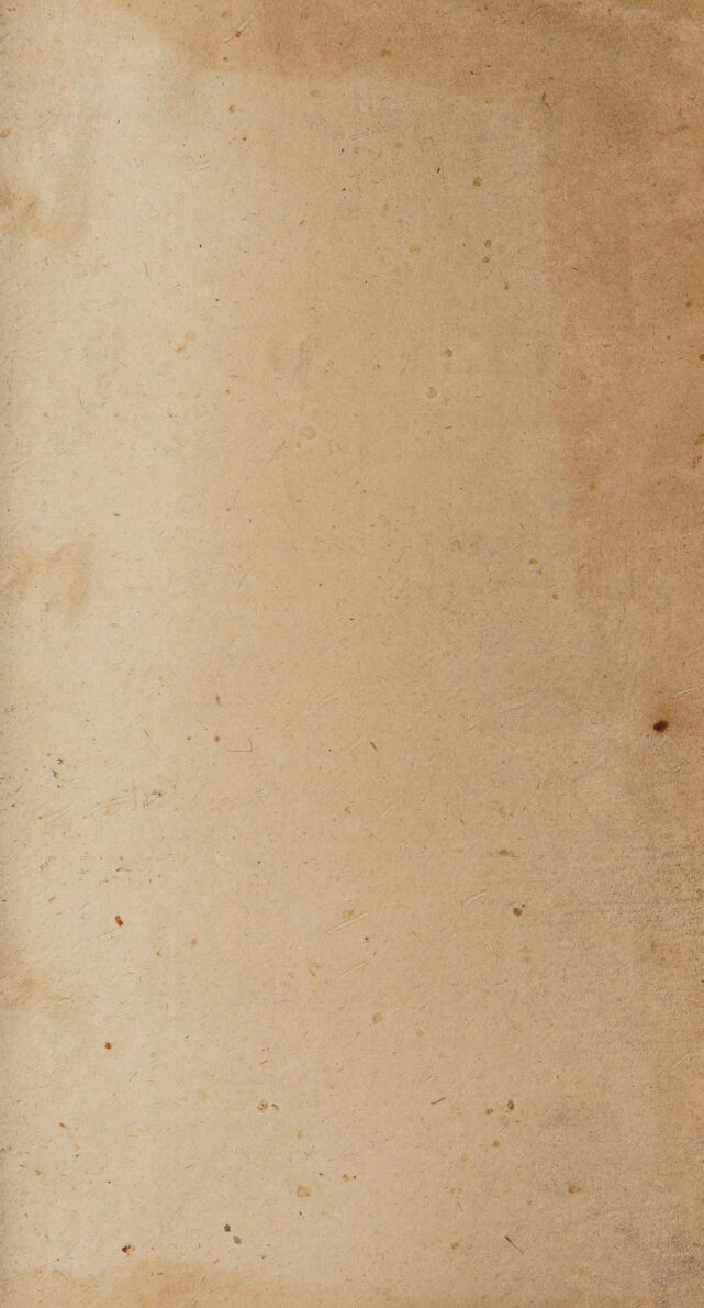 digitised image 3