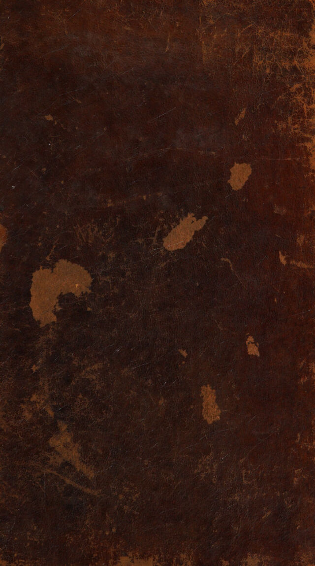 No text description is available for this image