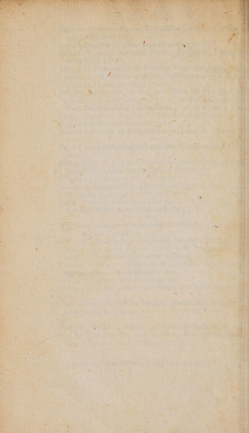 ts MS S e. wn uf = NA Ax AY N H