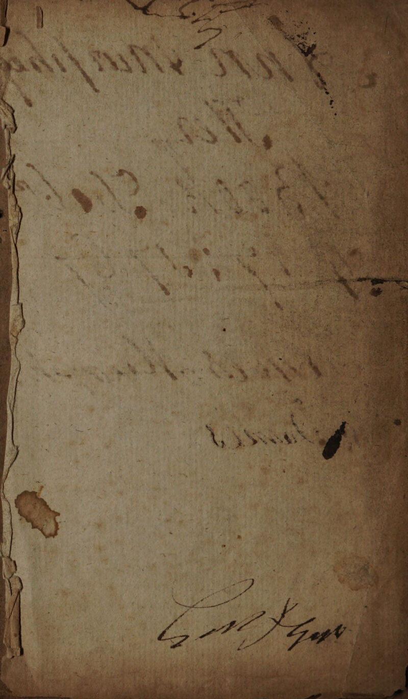 No text description is available for this image