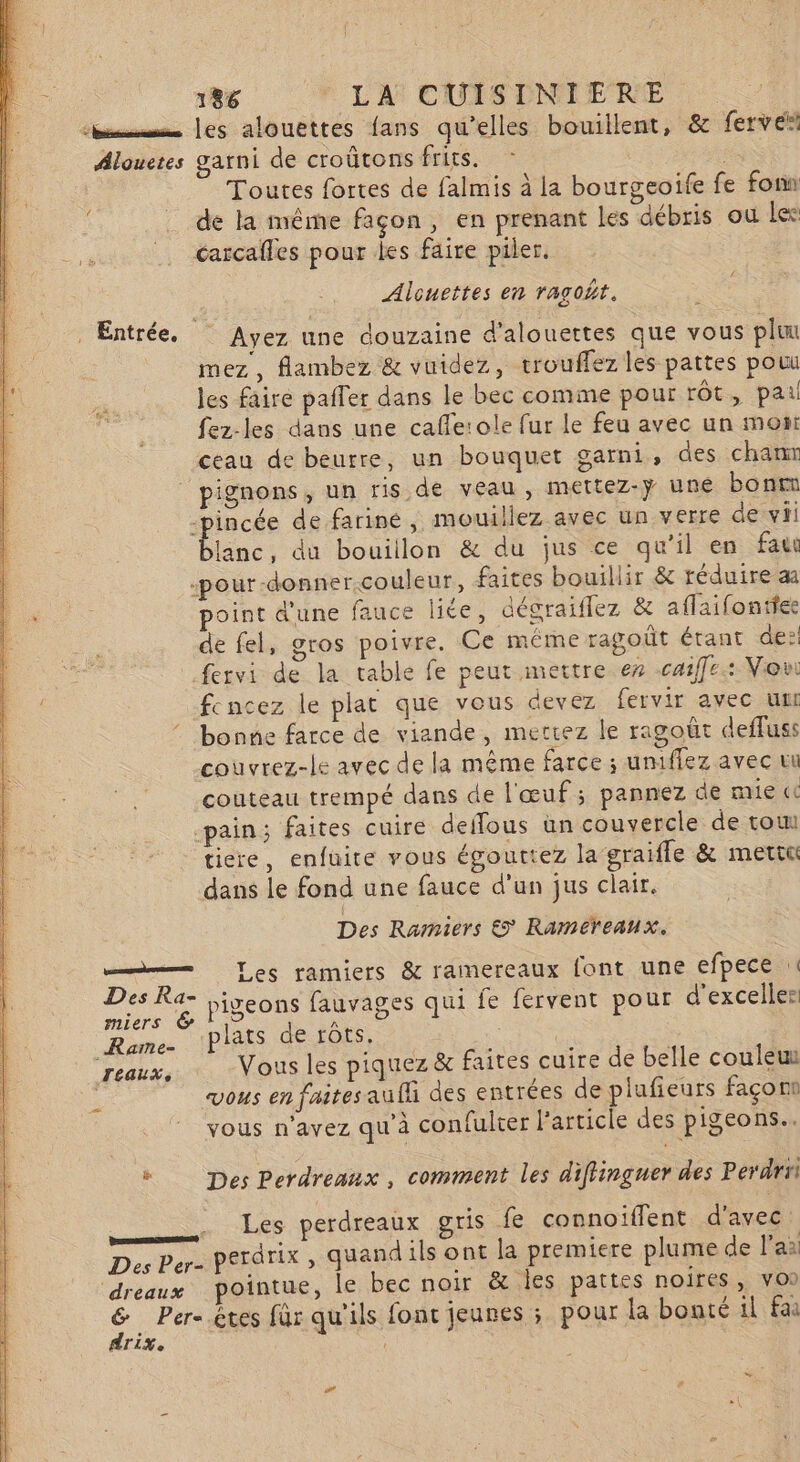 ‘bmmmmmms Les alouëttes fans qu’elles bouillent, &amp; ferv ei Alouetes garni de croûtons frits. Toutes fortes de falmis à la bourgeoïfe fe fon de la même façon, en prenant les débris où ler _,.. . éarcafles pour des faire piler. Alcuettes en ragoñt. Entrée. Ayez une douzaine d’alouertes que vous pluu mez , flambez &amp; vuidez, trouffez les pattes poui les faire pailer dans le bec comme pour rôt, pai fez-les dans une caffe:ole fur le feu avec un mont ceau de beurre, un bouquet garni, des chamn pignons, un ris de veau, mettez-ÿ une bonrx -pincée de farine, mouillez avec un verre de vii Pine: du bouiilon &amp; du jus ce qu’il en fat -pour-donner.couleur, faites bouillir &amp; réduire a point d'une fauce liée, dégraiflez &amp; aflaifontfee de fel, gros poivre. Ce même ragoût étant de:! fervi de la table fe peut mettre e7 cafe: Vou fencez le plat que vous devez fervir avec ur ‘ bonne farce de viande, mettez le ragoût deffuss couvrez-le avec de la même farce ; uniflez avec vu couteau trempé dans de l'œuf ; pannez de mie cc pain; faites cuire deffous ün couvercle de tou tiere, enfuite vous égouttez la graifle &amp; metin dans le fond une fauce d'un jus clair. Des Ramiers €&gt; Rameéreaux. —— Les ramiers &amp; ramereaux font une efpece Des Ra- jiveons fauvages qui fe fervent pour d’exceller miers A Rume. Plats de rôts, | LeauX, Vous les piquez &amp; faites cuire de belle couleu vous en faites auffi des entrées de plufieurs façonn vous n'avez qu'à confulter l’article des pigeons. 22 s Des Perdrenux, comment les diflinguer des Perdri . Les perdreaux gris fe connoïffent d'avec: Des Per- perdrix , quand ils ont la premiere plume de l'aa dreaux pointue, le bec noir &amp; les pattes noires, von S Per-.êtes für qu'ils font jeunes ; pour la bonté il fai drix. à »