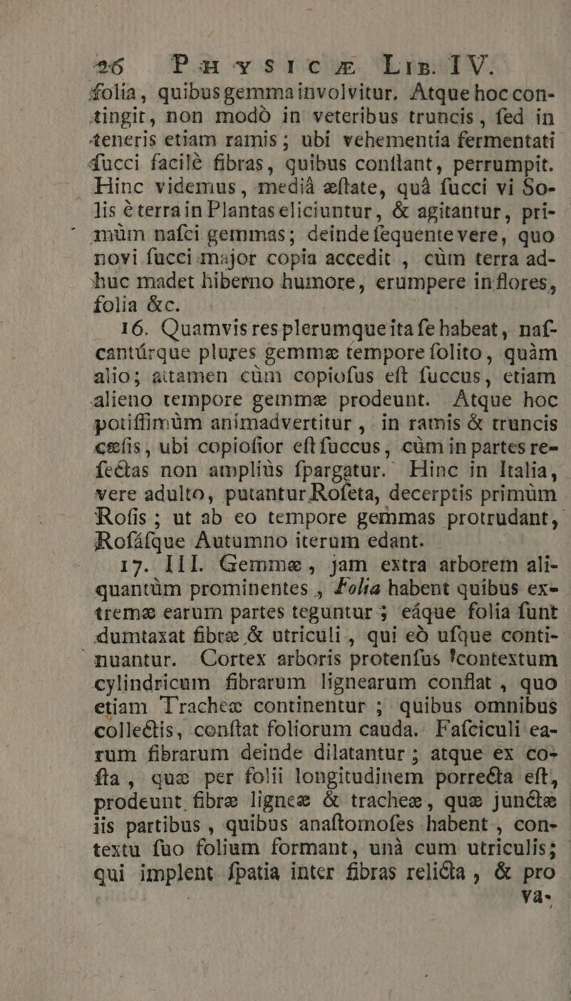 folia, quibus gemmainvolvitur. Atque hoc con- tingit, non modó in veteribus truncis, fed in teneris etiam ramis ; ubi vehementia fermentati fucci facilé fibras, quibus contlant, perrumpit. Hinc videmus , mediá eflate, quà fucci vi So- lis é terrain Plantaseliciuntur, &amp; agitantur, pri- ' qanüm nafci gemmas; deindefequentevere, quo novi fucci major copia accedit , cüm terra ad- huc madet hiberno humore, erumpere in flores, folia &amp;c. I6. Quamvisresplerumqueita fe habeat, naf- cantárque plures gemme tempore folito, quàm alio; a&amp;itamen cüm copiofus eft fuccus, etiam alieno tempore gemm«e prodeunt. Atque hoc potiffimüm animadvertitur , in ramis &amp; truncis ceíis , ubi copiofior eftfuccus, cüm in partes re- fe&amp;tas non ampliüs fpargatur. Hinc in ltalia, vere adulto, putantur Rofeta, decerptis primüm Rofis ; ut ab eo tempore gemmas protrudant,- Rofáfque Autumno iterum edant. 17. III. Gemme , jam extra arborem ali- quantüm prominentes , Folia habent quibus ex- trema earum partes teguntur ; eáque folia funt dumtaxat fibre &amp; utriculi, qui eó ufque conti- mnuantur. QCortex arboris protenfus !'contextum cylindricum fibrarum lignearum conflat , quo etiam Trachec continentur ; quibus omnibus colle&amp;is, conftat foliorum cauda. Fafciculi ea- rum fibrarum deinde dilatantur ; atque ex co- fla, que per folii longitudinem porre&amp;ia eft, prodeunt fibie lignez &amp; trachee, que juncte iis partibus , quibus anaftomofes habent , con- textu fuo folium formant, unà cum utriculis; - qui implent fpatia inter fibras relidia , &amp; pro Và-