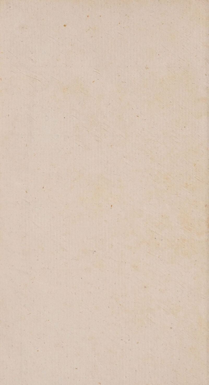 ie Ihe fey Fe: Hy iy pop tye ee cA ae 7