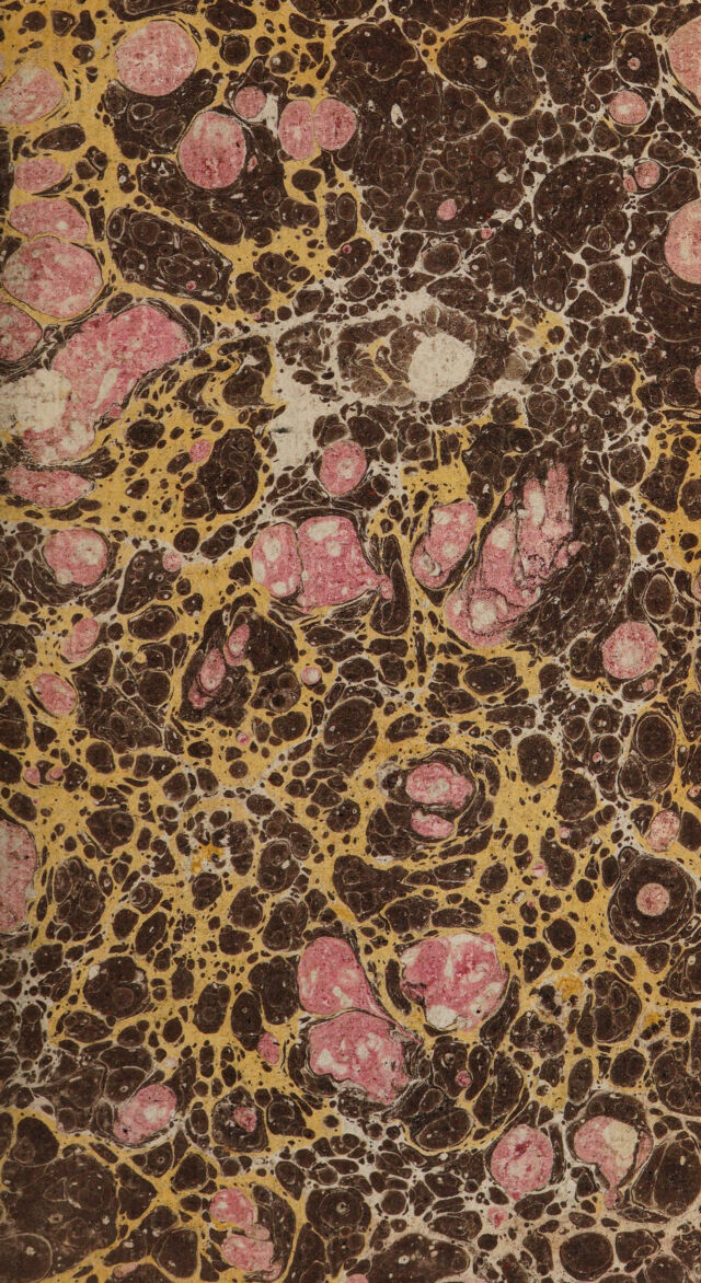 digitised image 3