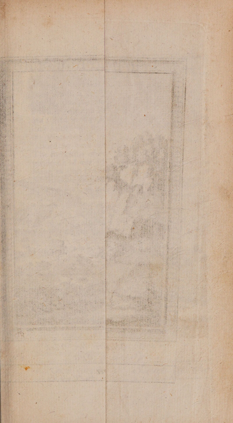 RL pans pds nest 70 = SRE