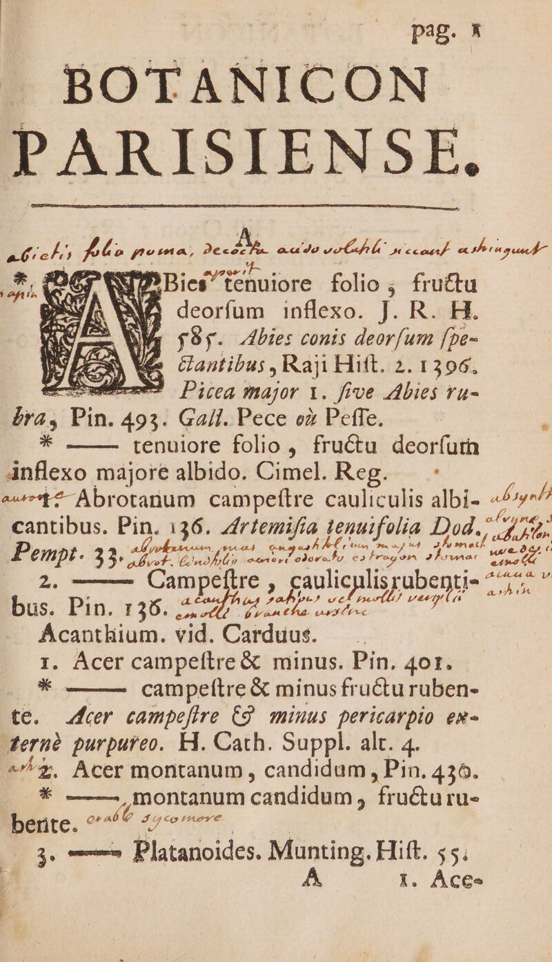 BOTANICON- E. fte pet. 2e 20. o.c Jo vor Py ex hot pa NIV Bies tenuiore folio , fructu deorfum inflexo. J. R. H. Wa p8y. bie: conis deorfum [pe- Me Gantibus , Raji Hift. 2. 1396. uu Ding major 1. five bies ra- ira, Pin. 493. Gall. Pece ox Peffe. * tenuiore folio , fructu deorfurn Anflexo majore albido. Cimel. Reg. — t2 Abrotanum campefítre cauliculis albi- Pie. cantibus. Pin. 136. Zfrfemifía tenuifolia Dod. Se Penpt. 33, eb rete er Ei 2. Campeftre , . £aulicplis rubei tj-^ NV bus. Pin. 136. 7; 9194 Mint ear ii A Acanthium. vid. Carduus. 1. Acer campeftre &amp; minus. Pin. 4or. *. campefítre &amp; minus fructu ruben- te. fer campeflre C9. minus pericavpio ex- Zeruà purpureo. H1. Cath. Suppl. alt. 4. ^£. Acer montanum, candidum , Pin. 436. * ; montanum candidum, fructu ru- berite. ^7 erem 3. —— Platanoides. Munting. Hift. 55.