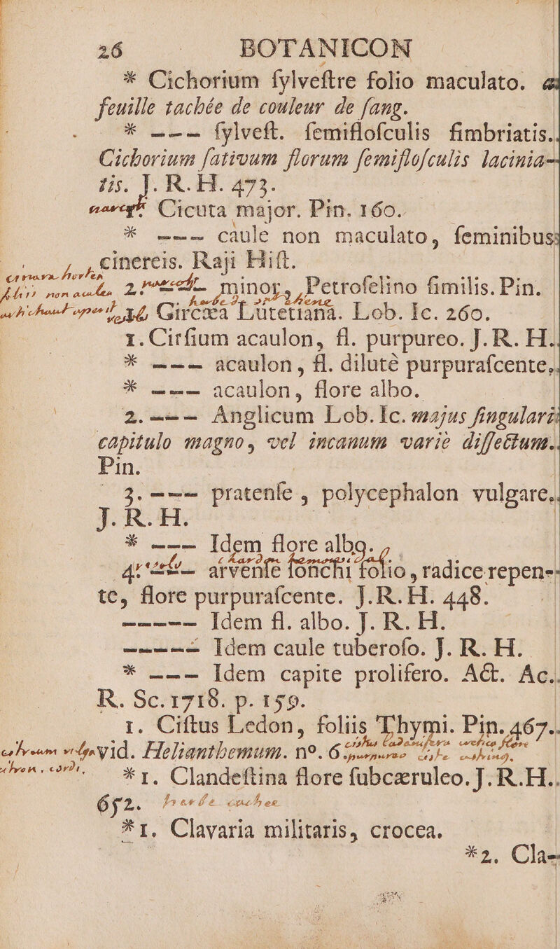 * Cichorium fylveftre folio maculato. feuille tacbée de couleur. de fang. |O* --- fylveft. (bsifakenlia findbriatid] Cicborium fativum florum femiflofculis lacinia- : Jis. J. RH. 473. esc! Cicuta major. Pin. 160. * --- càule non maculato, feminibus | J,,4£inereis. Rajt Hift. | D 2r. minor, ,Petrofelino fimilis. Pin. au brehoad- operi Vd, CGiiCoRa Lütetiafiá. Lob. Ic. 260. 1. Cirfium acaulon, fl. purpureo. J. R. H. * --- acaulon, fl. diluté purpurafcente, * ---— acaulon, flore albo. | E Anglicum Lob. Ic. «ajus fingularz capitulo sagno, vel incauum varie diffe&amp;um. Pin. 2. --- pratenfe , polycephalon vulgare. J. eh —7- ldem flore albg ad: arvenfe fofic (abd, radice repen-- te, flore purpuraícente. J.R. H. 448. — - Idem fl. albo. J. R. H. — - [dem caule tuberofo. J. R. H..- —-—- [dem capite prolifero. Act. Ac. R. Es 1718. p. 159. . Ciftus Ledon, foliis bomi E Pin. :467- caret tdg vid. Jilumibenine: ne. do — pM de o*^.77- — *r, Clandeftina flore fübczruleo. J. R.H.. 652. I ecl e ene b es *1, Clavaria militaris, crocea. A E IO Mer c ECCE *2. Cla-