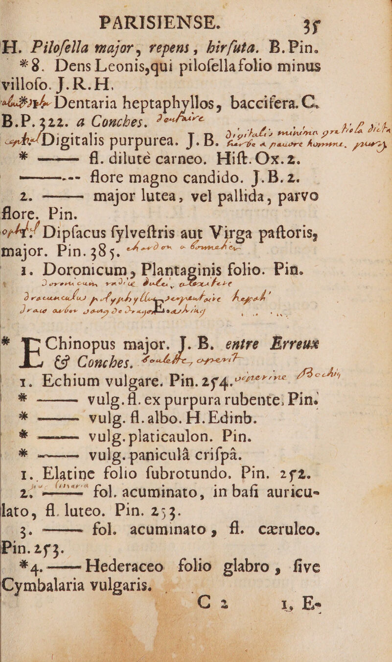 H. Pilofella major, repens , birfuta. B.Pin. .*$. Dens Leonisqui pilofellafolio minus villofo. J. R. H. E heptaphylk los, baccifera. C. pum à Conchbes. ? wow ds A MUR E s porpnpes JR SEA e p . Hift. [i Ox. z. 2 Dd. nie Pin. os ^1 Dipfacus E AISFUA aut Virga paftoris, major. Pinjs8s. eem s CM 1. Doronicum » Plantay inis folio. Pin. * (egeo 47 9 em fee À ra cutn c e, p elg yl KeakD mthi Jae aues 262 Oe Duas py /Acj major lutea, vel pallida, parvo : E xn major. J. B. esire. Erreus €9 Concbes, ** ayoehu Tr * 1. Echium vulgare. Pin. 254. eye r ne: Y c s * vulg. f. ex purpura rubente; Pin. * ———- vulg. fl.albo. H. Edinb. /O* — — vulg.platicaulon. Pin. Nee l1. vulg. paniculà crifpà. .Elatine folio fubrotundo. Pin. ifi. . ——C fol. acuminato, in bafi auricu- lato, fl. luteo. Pin. 253. Bs. fol. acuminato , fl. caruleo. Pin. 255. *4.—— Hederaceo folio glabro, five Cymbalaria vulgaris, $ : x 2