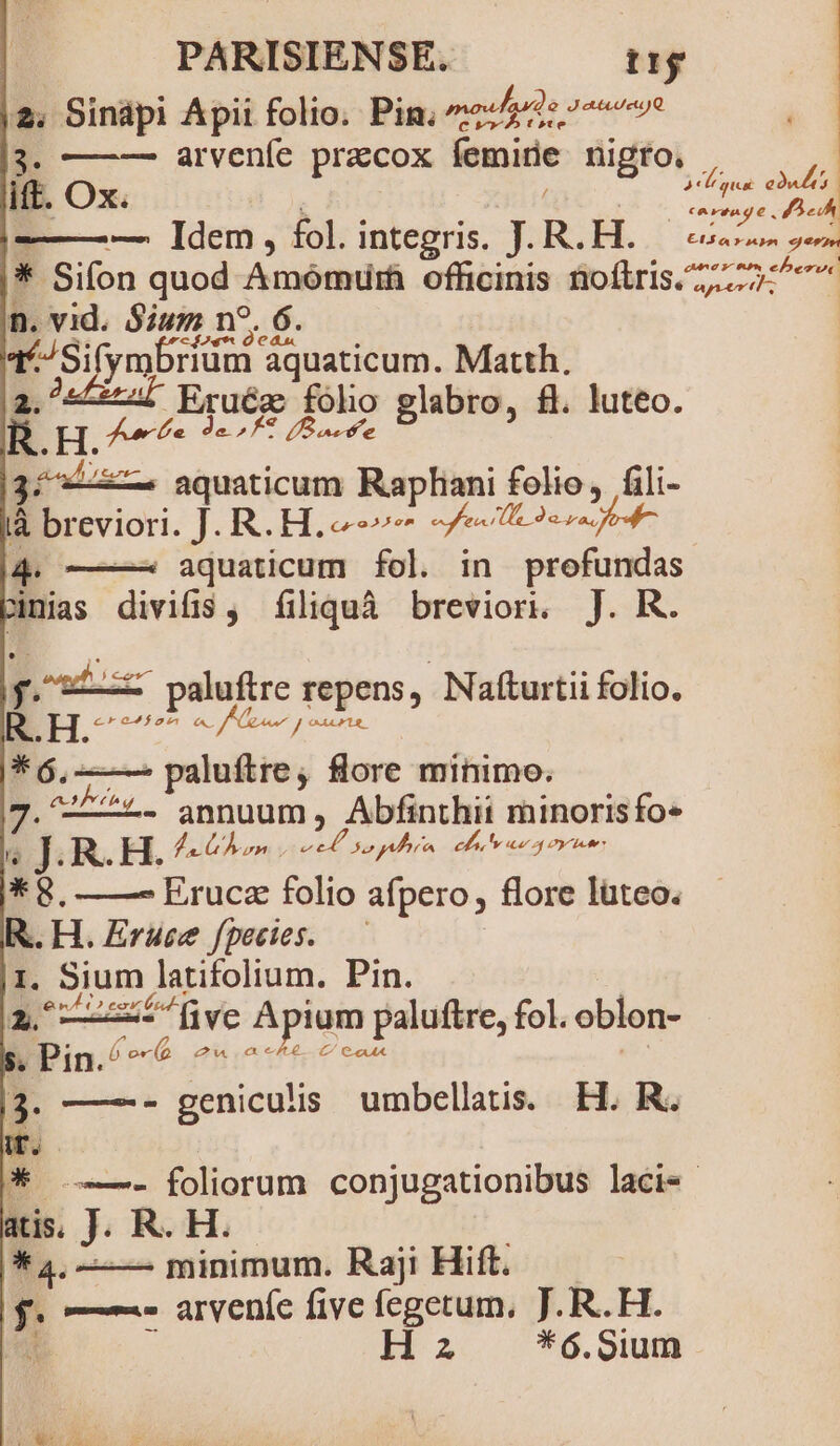 p Sinápi Ápii folio. Pin. rtpado 1a | 3. arveníe pracox lemirie nigro. , | ift. Ox. | rs — Idem, fol. integris. J. R. amo * Sifon quod Amómir officinis fiofiris/ 2, 2:7 - m in n?. 6 1 Sifymbrium Aquaticum. Matth. dU eis folio glabro, fl. luteo. E aquaticum Raphani folio, fili- à breviori. J. R. HL c 7^ T 3er fed 4. ——- aquaticum fol. in profundas jnias divis, filiquà brevior. J. R. pado paluftre repens, Nafturtii folio, .H. cero4f$on A. J ens. * 6, ——. paluftre; flore minimo. Euro. annuum A Abfinthii minoris fo» ij. R.H. d on su e sors cha Iv rap Dye *g. ——^ Erucz folio afpero, flore lüteo. R.H. Eruce fpecies. 1. Sium latifolium. Pin. 2, x) five Apiam paluftre, fol. oblon- $. Pin. in/ ^4 eh rettet eon T. —- Zeiicili umbellatis. H. R. TE * .——.- foliorum conjugationibus laci«- atis. J. R. H. * 4, — minimum. Raji Hift. f. ^» arveníc five fegetum, J. R.H. : Hz F*ó6.3Sium