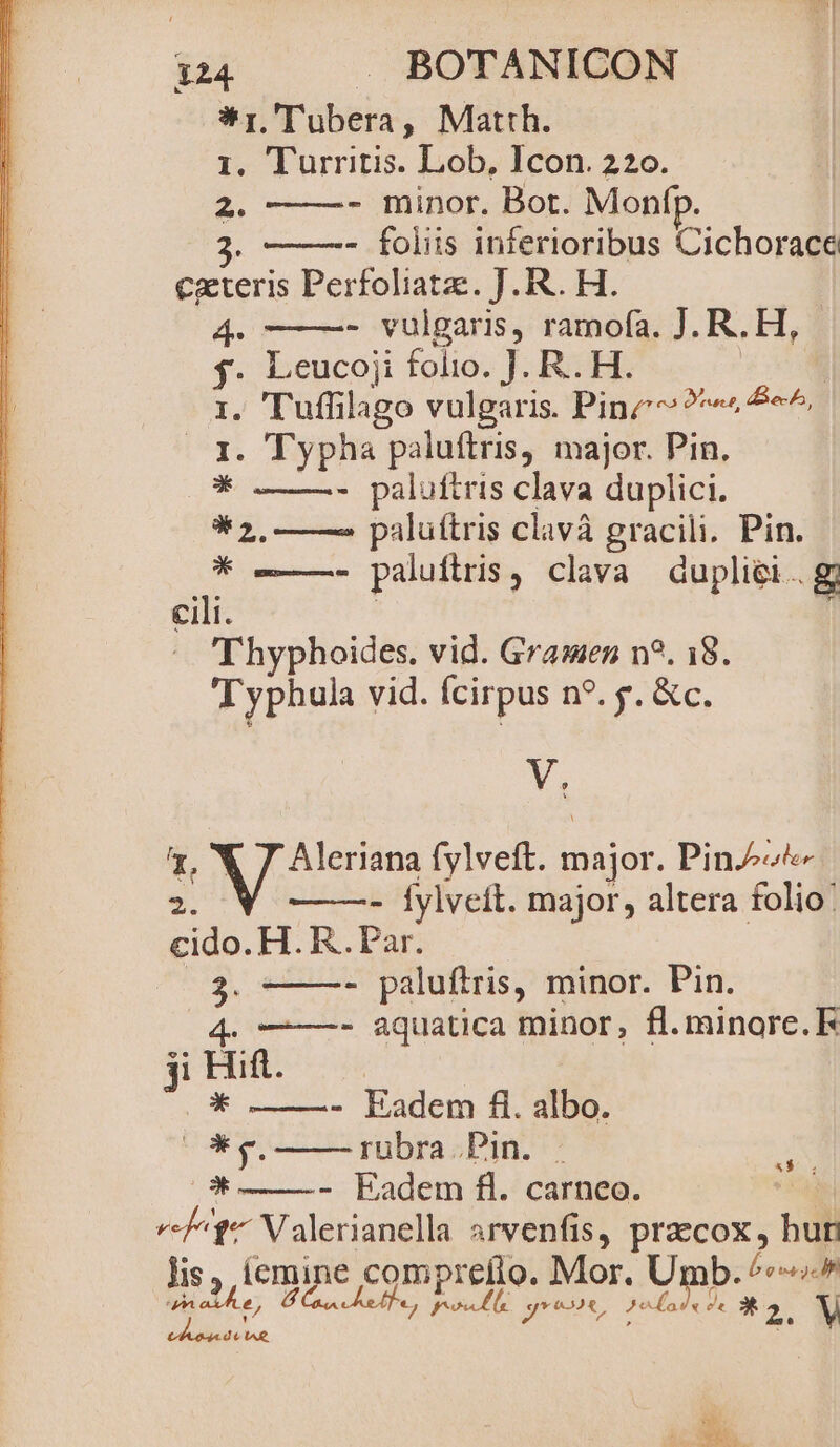 Wr. 'Tubera, Matth. 1. Turritis. Lob, Icon. 220. 2. - minor. Bot. Monfp. - foliis inferioribus Cichorace cxteris Perfoliatze. J. R. H. : - vulgaris, ramofa. J. R. H, SY Leucoji folio. J. R.. H. I. Tufilago vulgaris. Ping? 89^ I. Typha paluftris, major. Pin. * ———- paluftris clava duplici. $2, ——. paluftris clavà gracili. Pin. * ——- paluftris, clava dupliei.g cili. Thyphoides. vid. Gramen n?. 18. Typhula vid. Ícirpus n*. f. &amp;c. V Aleriana fylveft. major. PinJ»^« $ - Íylveft. major, altera folio' cido. H. R.. Par. 3. ——- paluftris, minor. Pin. 4. ———- aquatica minor, fl.minore. k ji Hift. * —- Eadem fi. albo. ibis Y rubra Pin. . PA E - Eadem f. carneo. «-j^t Valerianella arvenfis, pracox, hun lis ;, íemine comprelio. Mor. Umb. AN iet B Ces ef | *Ày; A gres, Je rod *2. V