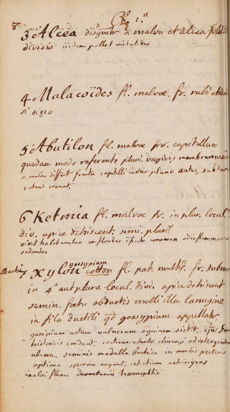 déves ts P Du pola ore Fa y i | T: ath co cae; LAU. Ew | Vi ót tto 57 À Een La ia rene 2 NA aris pod o puo phun. veg) rv » 2 pe, A xf Feb cape le! ipe ree dad. ga À t , E We; crum 1 6C Kefrnicea /Á pta voc Hor A : s es | ^ | 8ce, a o5 cet Dd » Jk | ^évi ria v4 vid iof olo vo f oe 72 de cna 5-4, XC t Len 9» pad m1 Ad m 4 * ud pl. 4 Vac. Aw. Ap 292». Jin. a aussi 222c 4 Ta Canoe | urs Jai 7? umm pel Z5 v al te v soot 2 In ec ai ES: ijr fe 4 o2n Jo! ie des 14.27 9€ Y Zi Á ct oae uu c0 d, ct 7 ld 9 » E NUN Fari horror ed eltny ndn cord. JJ oT a) pede be eh RN evi opneeord dono AAA mem. S E », AM pey o» ioi : a Du fe. ORAN ABI fouet