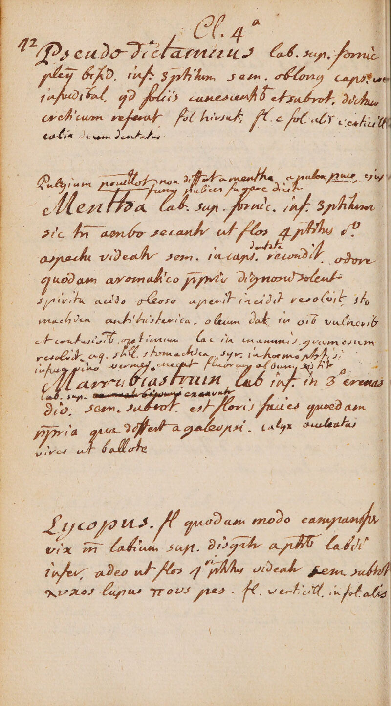 | p. NB CAU M REL y4y &amp;KO. fp ds Kd. tf or Cap or ot 92 Aetio captat À dro er, D, | FU n Py DE efe cea | Cos de aie deecF Affe: E Ass — | M 2 727 p a (a. Spb, | 1 ^ amo pe can o et gpl P | appa S ND IPIE DE esu idis | |^ euo adn ax eimadi eoo yg pP, aot «c4 d o good apicc uM pero (oil 14s prae Ar A NOM PI Ca, 2 ise dat 7] dd vu ucyrÓ. | ecu pum Loue Gc (lA HA caa aret d HUE | M lia nO at: qu ere pe] MAT I áp AN y NN zu er d ad LOLde | Á au^ moo E 1050 Z3 Fi CXMMETK J 3 Pa pe02 aan. ra à CA ux axudeudas A) uoevo 2o d ucogo ns. quidam. modo c ex pe Broche ap Lad a Deo ud fors 4 PÀlu o Dead Kou, sd) Vd PP TreU4 gue . fc. veh a es b