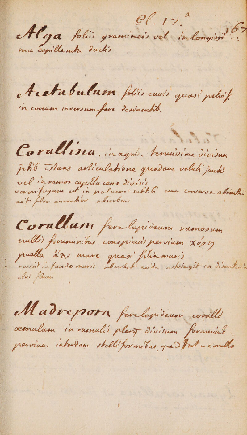 erc £x : Ma y? gren eee) vec - dr origo Fu a. DS E [SY Ap m2» 3 y; um caeci pure SPESE EN teri nn dei PP 1 1 g^ id, rs j Bo e pls a NE ia E pA chu) av e d e re geom ve a À s) 1 ven fn tn m LS go n cur P: Á err Cen A AL AKA L aa ]^ fors, mu ine P AP PNE P | C. d pir 2m: fen decus Mna ric. Ver fene Cos 49A ut) JAM MA X2 7 ab AA Ico €. PA mm M nd »TAsté^(/ Peor Mr TP a Ife ag ET A A us n Cvc^ cet 7 f P^ Y MUR / pM aDrepoorn ue ear, ill B'oeerueLuan Hmm) al LU 35 5nd fero VALL 20 Uh SS He or e ng «0 fef. cm,