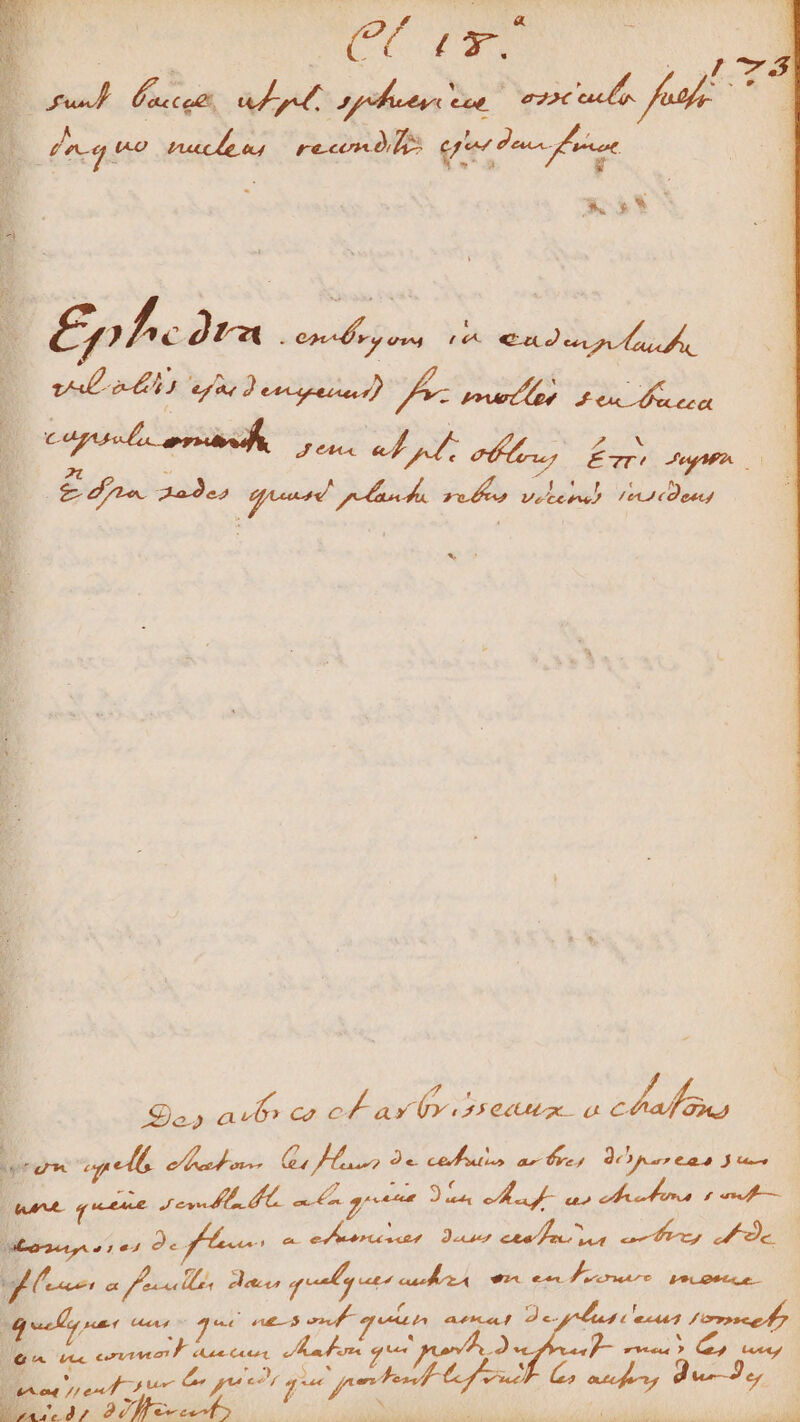 FE dau (T. ' 7 T4 EN ide: : Eph ra lepus Asta e vel 253 v) f Asa de dus PT DNA $i Lou Je | E £ ZA. 222.5 V AAR diues rta Vetesw) Ipae) M e d ja. ut 4i oov POE ad c2 eL ax bv (Y 25e x zu ren peli p euslace: G, Io Je cedi ar dre, dur tas Ju OM qmm Joe Pe P n e. n P VENE m A UIN 29, 17g £o vu — ONT gy oe- s ^ PE UMPVUPPAME VON NUUS, Aye f, oe  ^ AP 2 a, eda qn ta aoa Mix 34 M etrsekro pa pe gv E ipae nun ruf T nA aue 2e gun ui Pup E UC TDP uat te P y S Lett 4A UC COVTVE c. 2 Bened mp puer f C au MCI M E 27) FOE E ; : k DAE T ^ : ma