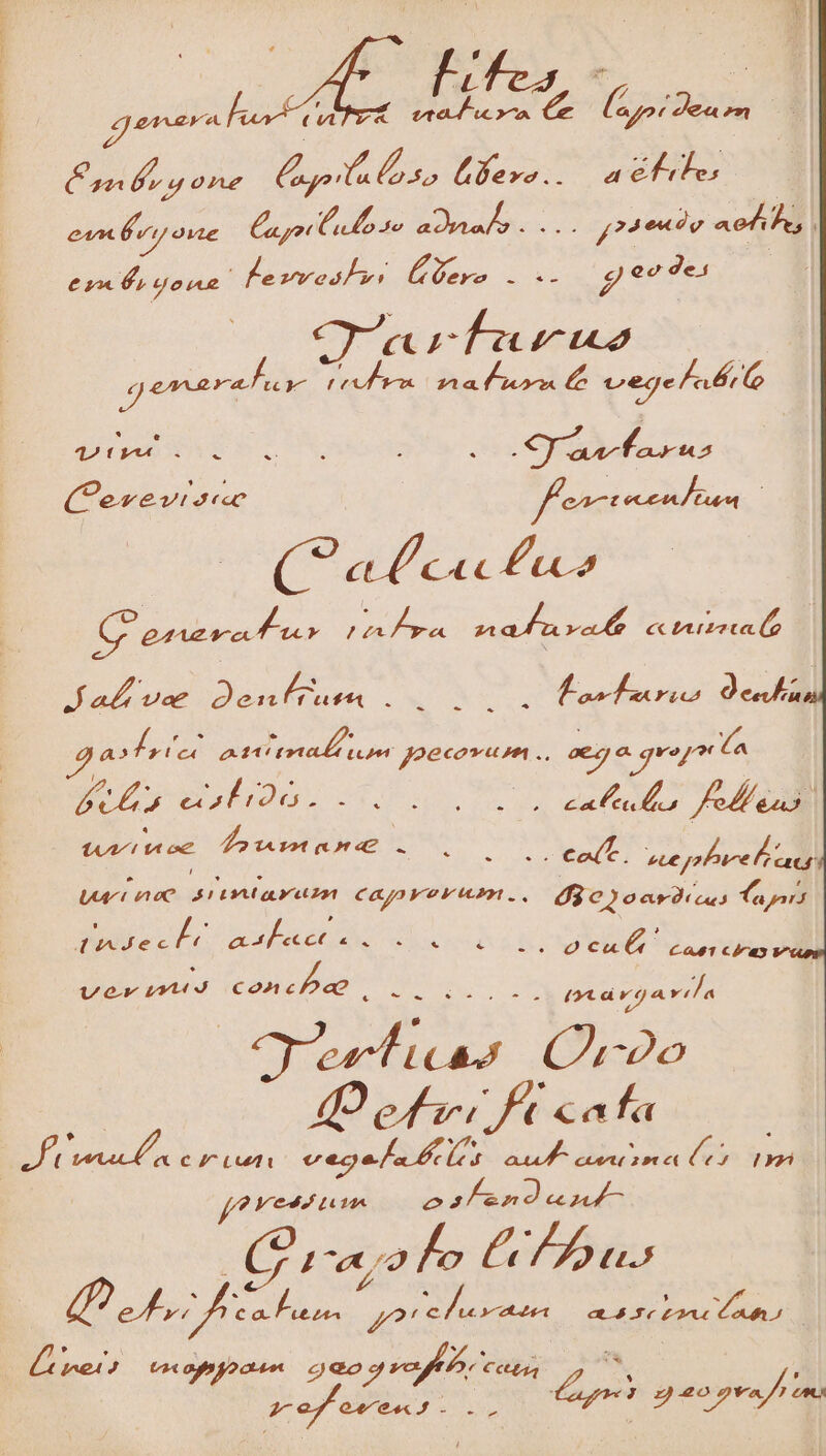 P ud Bt A pedis pue Ar lese aso. adfeles eum vi onte Cayo Clo se brad. . 24e noh, pee Fasmadiiu ero Lv N/DES Quer durus di reu os naf urn (e oed ege labi OC PIECE ACC MUN : : ES ^n MP (fPeveviscc fente m 3 (^ a4 c« fu | [n jon nes ada vole « tuuc (o Jab uer gondzuen ; Qo E ofurio Dean - -- gari A411 (1 t4 Joe cou m .. acjj o qvo ác T PT APA SU d caf lr fA (4A V oe down A4 o. 3 i BU f e E cot. ste jnbure Pe eaeg UA 0C A1 LIA LY Cajyay erem ., d3e)oarJics Tar Dhgech Qd ee C LENS ce is e EN. D tle Pv uurtitg at vytid ConcDao o S zx (cá o a vila E Qr2o Quei fc cafa | JENTHEN SUIRRN cec e ln e lea ése dise v / yai jf vet im os 2» Jc Au  «alo Gb bus REY C. 24A pho oo ax | 2-ey ovo0s«2J.