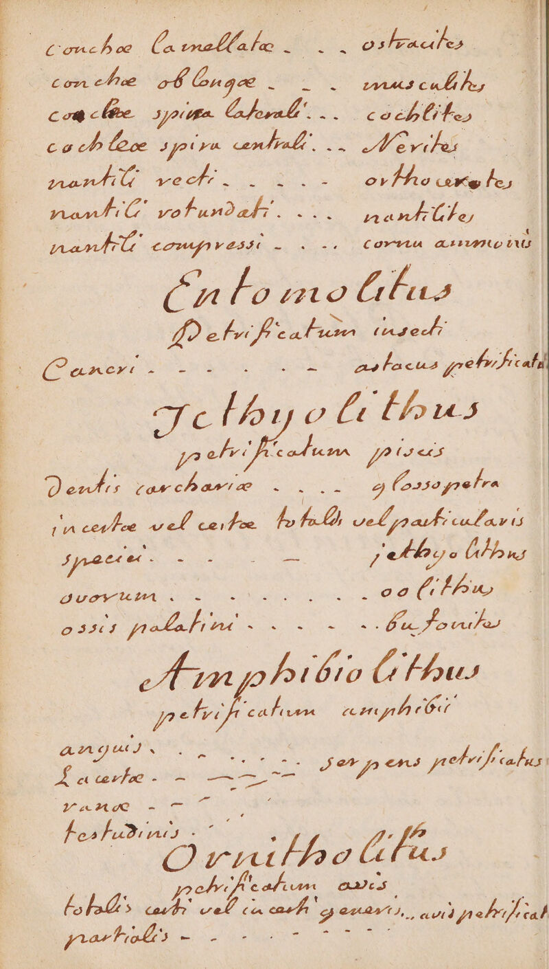 Con ehe eb engen oda ca AA Ca y 6] coa c te gene Gone. . V(Peoyu dos ! | co cb (eoe Agora cenae, . : DUE ht. - DOT n vec. pU MED se orf he cose lc; Vea iG vof un2ah AUT ien P ge tape €2MAgAVAARMO L0... Cava RUM) 2m - Lo mo fus bw * 4p e forc fea ns STER ! (Qanerc ^ - . - ho deu» pelo -— ANO: l51oc 2d 2372 jo eh f E ad LAS oe ue za4- c an ao EN UPS OS 2 (ossa youre rs eee ef cef e. Lb 5 vel p) auf cal av t | feat - Tn E EA Eorovpe | Quov unma. -. PIANO IR ense sad oo ( I» o 3564 vo SEA. Re, m ao rufa hito C Ius e OP Le eon r 6 QA Qt S Jar cre - - X Tw held. evvs elec cles —— MaewxtoQ - 7077 LP SPEM | Door RM. : j pehe hee rau CM cu Lo los T E vet c cash ganan, ope a