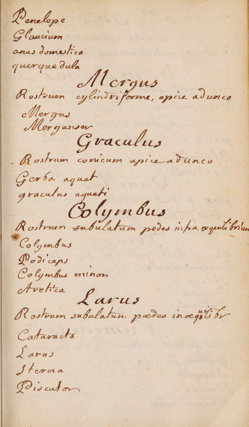 TATE eyes ere P eor pat 5r xcii G racacus É di esf rior c Dade tod aot ca e DECR EG Cp er fa. PES ra cud. A «c e 7 8 Pip e dFosfena Duo yum Joe9es uon epi ES Lr. | UP TP Y,  Co bs kou: | DO oo ruori Mi PR joe?es T 127 | uar n eai Jor | go. MAS a