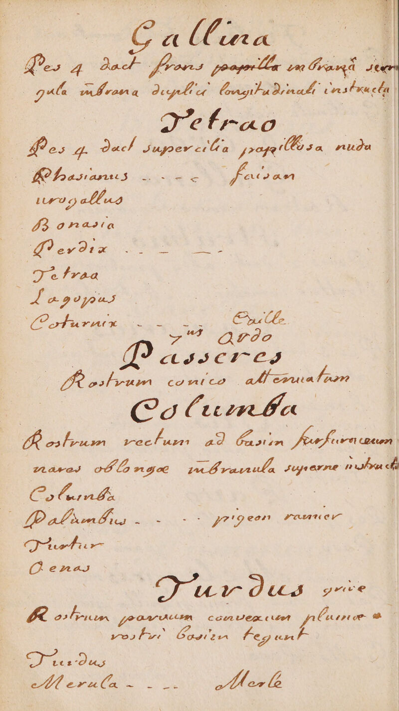 f. 4 Dach- foror 4 pony m ran p : «6 » 3 ge or rri a Dr Crab rela efrao LA pe Jugoes ccÓa Joop (Do o a ruidu , : K? asian x : — c pov TP T 423 ona2(a d?ev9tx ederet lh 7 e fraa 4 o p oyons : (Cofdfureax 2 o- A os Crete zx Qro cLJ2C217 69 PPP Cosa CO . RU CU d Lco e CP RAS He ad aaro. poc $£i4ee) os 6 2 2140€ bte DONIS A Juge erri n ufa d (5 6 ond. MS i BUE nda eu ye penm mre PB Q en2z« OUuwadus M o5 V^1CUs^. ffe once) Cc Uez cut pnénm m 172 f SPESE feg en CS Du; ve urna - M ues. N/A