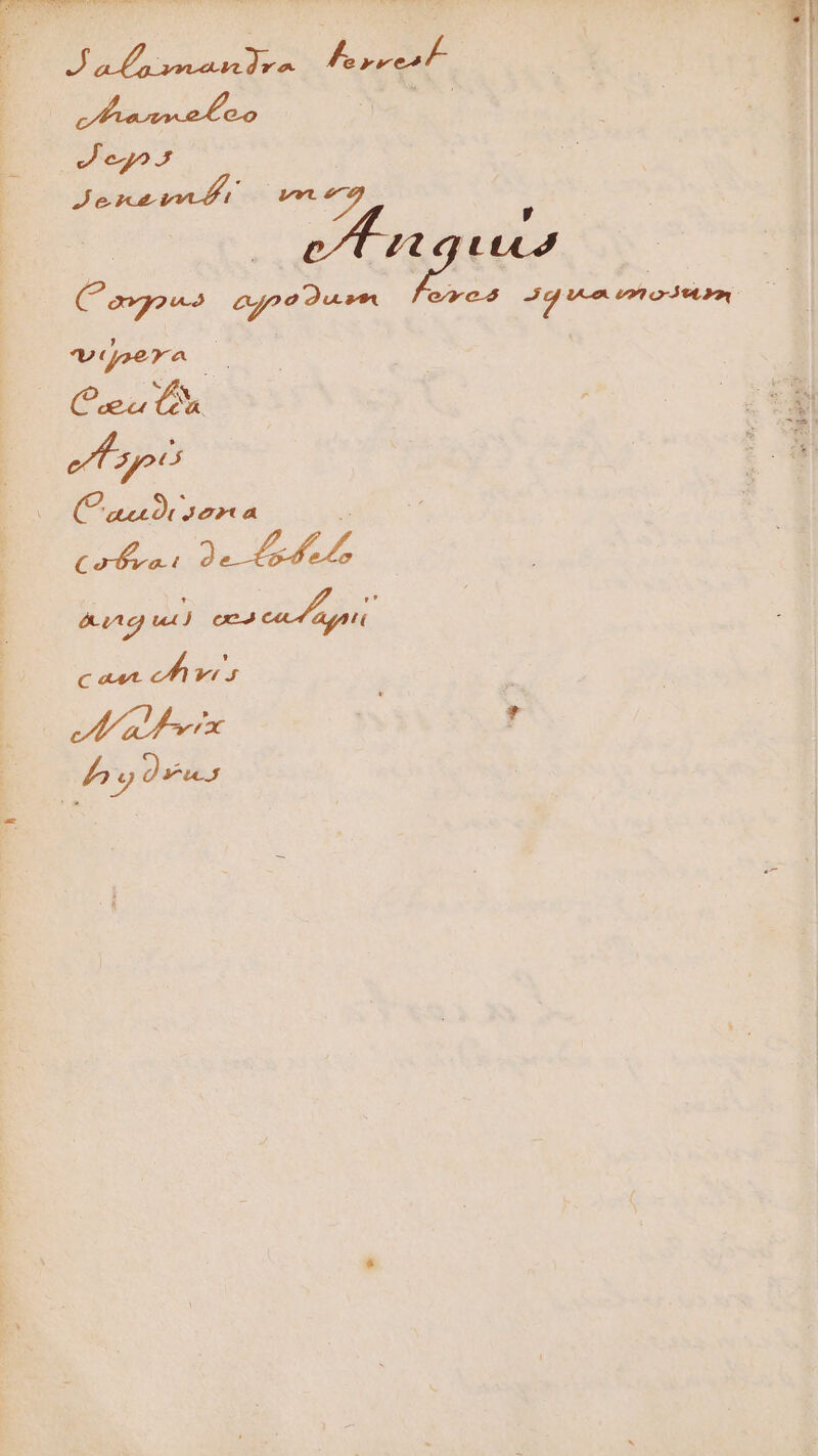 Ufo se decdi fac JJ ego Jen  PIE ; C ovgaws eooa dum f rcs Jg Mon o : Uv gsera | (P anx Jo» a M ME E I A éundg ux) tico bi La. c ana. cer War - , | L2 Qus