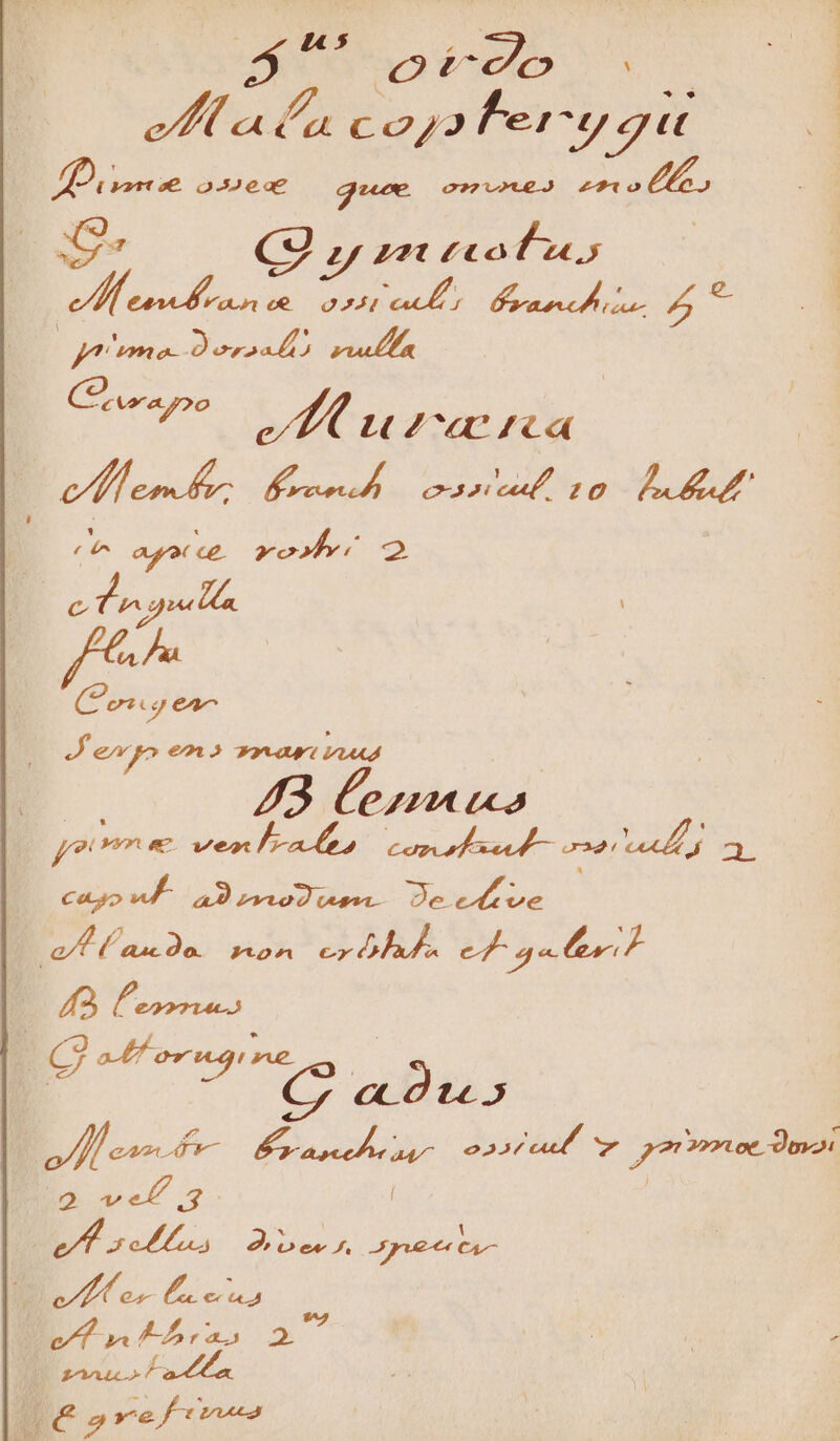 ella fa CO7J ferc gu DO isse o32e2€ go. o7v2t€ J 210 $-  cU Z71 £€o0l &amp;,5 PL EM DUE nd 6 oM. s ^ y Sosa p^ doit ^^ KK urena Mee b, AN cecadt. cane 1g AMPIA d m a9 vod cea. uro P as Jo. Fton D AAA a ( a Uu o/M enn b | CES PUE ossa. v yo mmoe Devi d web 3 | | TAPAS eines J. Huet C n D os Z:oieni | vl n tras ji sau» la
