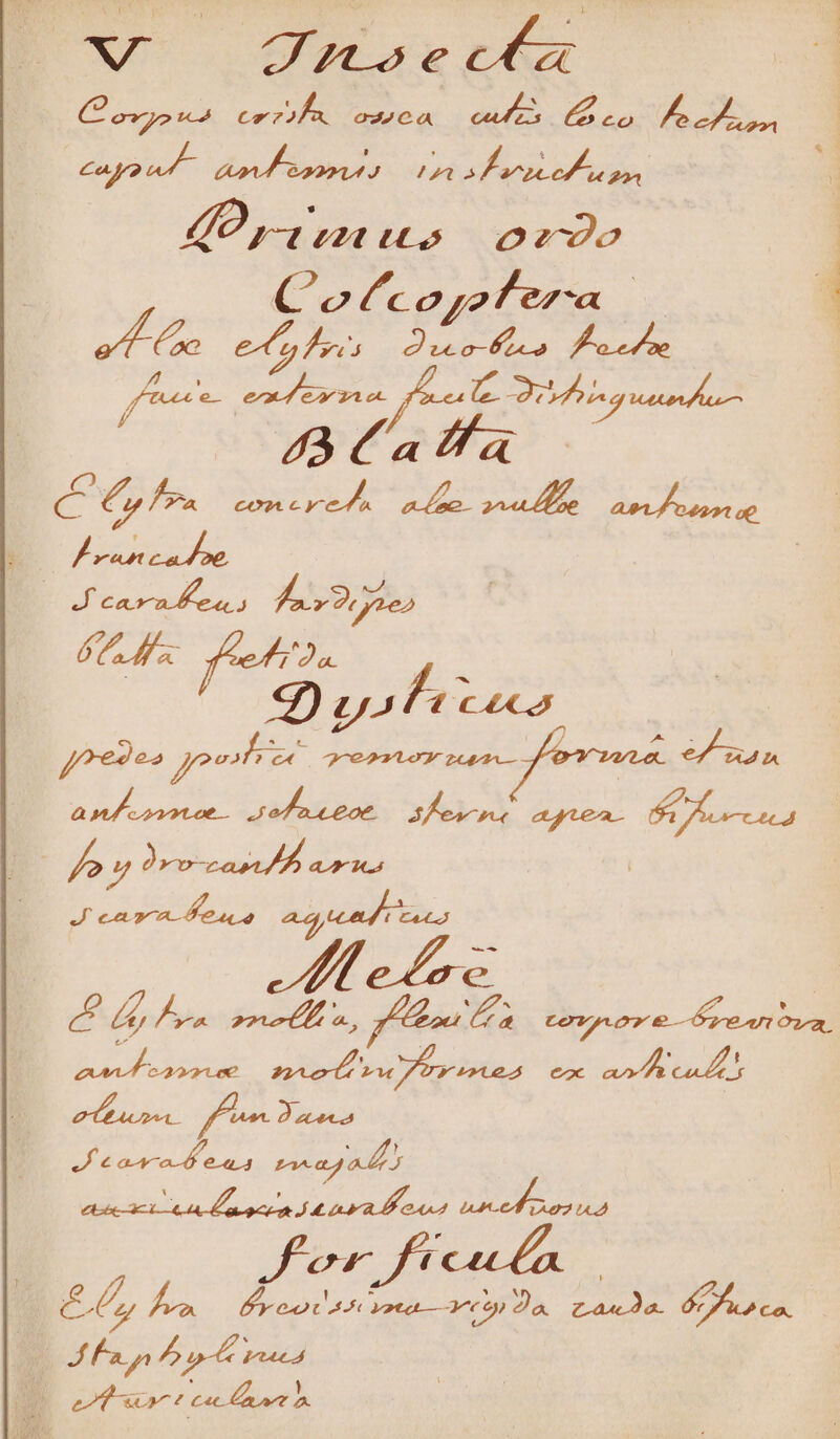 Covyesa cerifA ooa nM Coco Po ern cayo ad - do my HA acit us 2 P ida VE o ozo E (c oj2 Adios e s à c €, fr. t A -— dot osori o i | Eno ud n) hos A 6C fac Á D P SEES. J^ LU d e 244 IA uw codaEde. - d nt AO E) ^9 2A eye. 29 PY Jo y 9roccas Área | | Jean oa à ad td as T. | L7 do ri o e, a, y cov, P AME df cC22XLeC Ko aci inta coc molt aul pue 29997 | e bro. P PPPPET Ain Ai Te i) co. i] : ma b p rac | Pg t cu t b