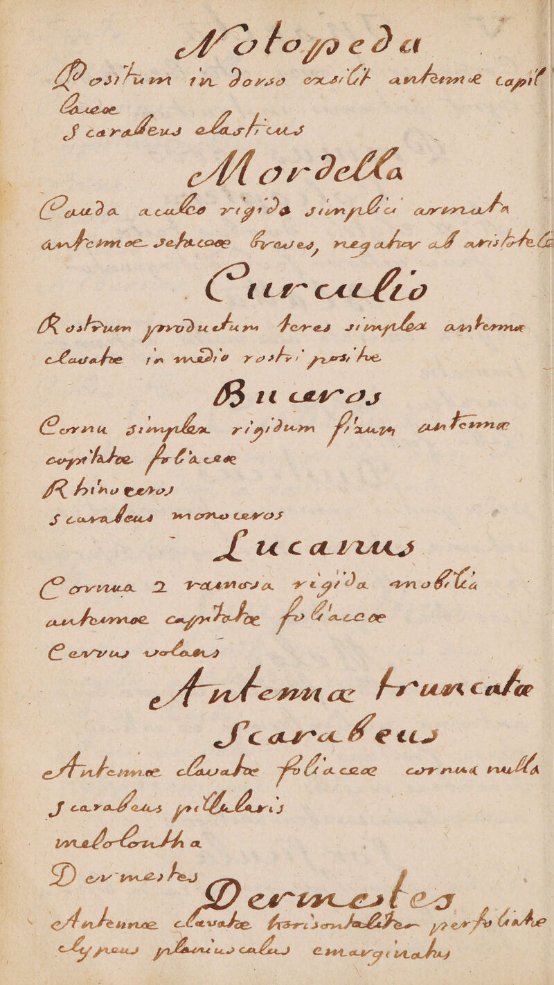 RC as 273 Je»so PxaurtÀ as orort t - f£ carallong 244 A aiio clt ADEM (Oca dac n^ rare pmi un aO doe o iom oe se ft cono feronred, reg ade. aM naris foe Curncethto Oo as Jona fees rp aaa T eoonee PE BY P OP ross ges hee. PET ce2^2.y (orna diri. rorum fm PT vot adve. fe Penne IR bio teo) exer 0a c7u.o CoA o : ! d ucaruxs (f ovnua. 2 Tac) a. * c21 Ja. dues cd aat fo arroc. ong Toe fe EE uf vel epi oc Mond | Jc aaa Feu B oT pem. e ara oe fe a case euren null TU MU p ens : (made or n i» in sea Pid EO e XC c» LT AN IIS € «vede. fix eceibom ou n » mc pre. Pas 630 aa7g CA ada)