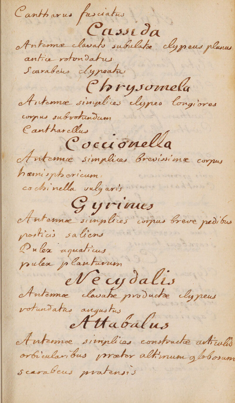 Hn Cad Fu fes £C H 3 P. | nna | Rc uade su fe m | Jar n enne C^ rpeinel Conus p E ero rte Drusus Cana o CQocce DP A PU PT ARE ecd pul uU LLL T T ci : oe o 31 Eocpe f ca j ba Meg LDY pU, idi 42. Du zt qd ae Miam m dq Cog o7^ed uda, (foe e EOS pas E 2 77. | « Ox Uu ABL eniane dais consfreel t zal df] i. d | /. .$ caen 0) 6eun5 pm aa Aj