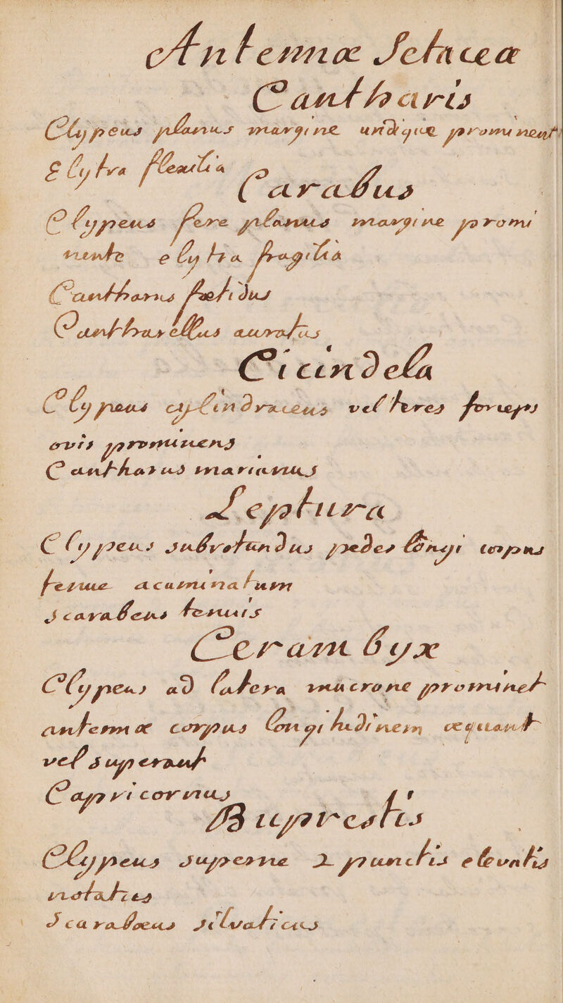 (Pan bo cr Cp ens vu taa prie rage. gureimc iia va P APT dome C 7 e^»re s Pyta arg 5 raro t S RLR IA C C pana 4p dvscons vet Jepz5 fon evi) yorerA IJ G P e £3 FRYLa rto LA A Al ejaluza c C) poen s ver Ix PT 72ede» yi €02,52 n4 fex « Ca Z»t4 và sor J cava Peso fe rua s CC, pes, a ym Me OSA TUR. POABEÉ COMO 4 (dE A s ce getas c ovg ena dt pw Lpoioeults C peas Jujperne 2 pounchis etvahu v ze€2 I hU c« ra fbecs p A/D AUR
