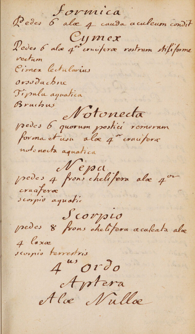 | hon PME Ca | | OS óÓ. am a Ew ex coL eap. coit | (Quy mex pos 2 d AMET «fferee 9 905/ FLA Mene ul Tp le i tis 1 aod cb Lic | | Ui yonb a. aged I3 v ucho uus : M otonecfa J? «3e s ete que o X C2Y*U/ ZWLTA, fov mac pe actua d T epe ore J Coypio eye AM coz joe | Jpe93es A d fons Ie lr ora etica La n abe ; P ruin Jos o [ A epe I y. 4c5 e — »