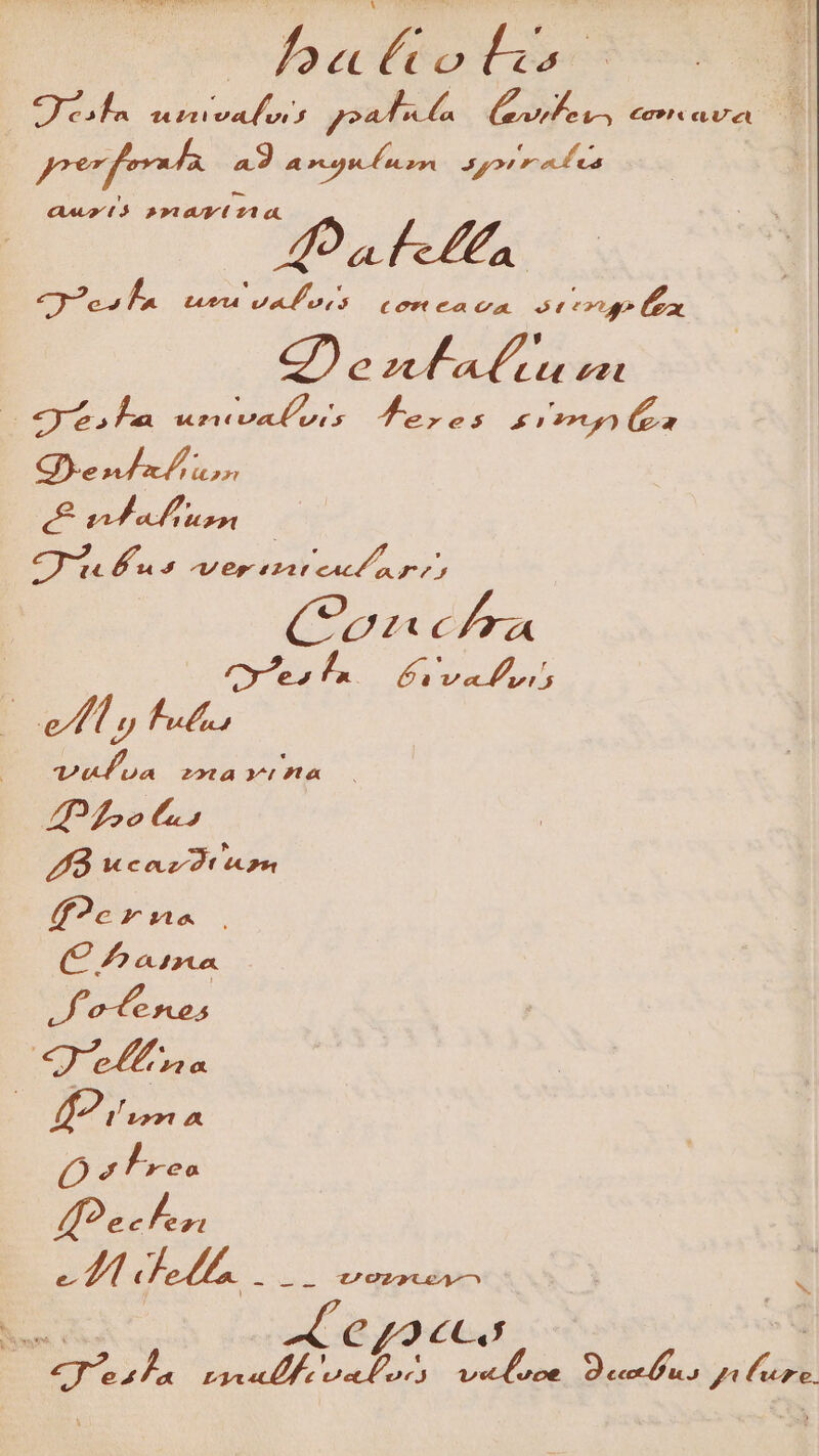 badtets oa gun m n tuoafui yoad a t Fb AR €c9!t cU ct prefer ad A rcg pos poc rnb a PPP B»3AAMA Aalen 76, f Leu ve ues. COM ea Cu. st tg ox Ce zd alu zz 0 $.lha wuncvafus feres simon Ge sd a &amp; DEN HP APPR Cu ut rep tar o nr) (oa chIra yes f. 6a vai Ml, halt vefoa 2xta Yu 7t« : A Lobo L5 Kk coz t «om f2ernue C P ona o eros qg'effua | 3^ b aror a OQ sfres 4ecfesi - a edt --- UCOLRXUGA- A C42cCo - C72 qus TSRHP T XOU OT veduoe Decus per .