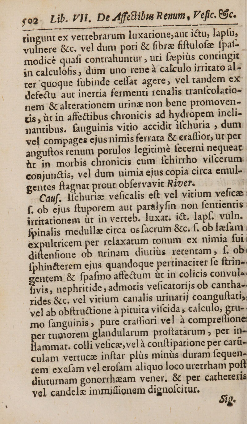 m€———ÓÀMd € rae af, ai ata qge rii d cingunt ex vertebrarum luxatione;aut ictu, lapíu, vulnere &amp;c. vel dum pori &amp; fibrae fiftulofze [pai- modice quafi contrahuntur , uti fzpiüs contingit in calculofis , dum uno rene à calculo irritato al- ter quoque fubinde ceffat agere; vel tandem ex defectu aut inertia fermenti renalis tranífcolatios nem &amp; alterationem urinz non bene promoven- üs , ür in affe&amp;ibus chronicis ad hydropem incli- nantibus. fanguinis vitio accidit ilchuria ; dum vel compages ejus nimis ferrata &amp; craflior, ut per anguftos renum porulos legitime fecerni nequeat ür in morbis chronicis cum íchirrho vifcerum: conjun&amp;is, vel dum nimia ejus copia circa emul- gentes ftagnat prout obfervavit River. | Cauf. lichurize veficalis eft vel vitium veficze: f. ob ejus ftuporem aut parelyfin non fentientis: irritationem üt in verteb. luxar. ict. lapf. vuln. fpinalis medullae circa osfacrum &amp;c. f. ob laefam expultricem per relaxatum tonum ex nimia fut: diltenfione ob nrinam diutius retentam ; f. ob: fphin&amp;erem ejus quandoque pertinaciter fe ftrin-. entem &amp; fpafímo affectum üt in colicis convule. iie nephritide , admotis veficatorijs ob cantha-. rides &amp;c. vel vitium canalis urinarij coanguftati,, vel ab obftru&amp;ione à pituita vifcida , calculo; gru-: mo fanguinis, pure craffiori vel à compré per tumorem glandularum proftatarum , per in- llammar. colli veficae,vel à conftipatione per carü- culam vertucz inftar plüs minüs duram fequen- cem exefam vel erofam aliquo loco uretrham poft diuturnam gonorrhaeam vener, &amp; per catheteris vel candele immiffionem dignolcitur. Sig.