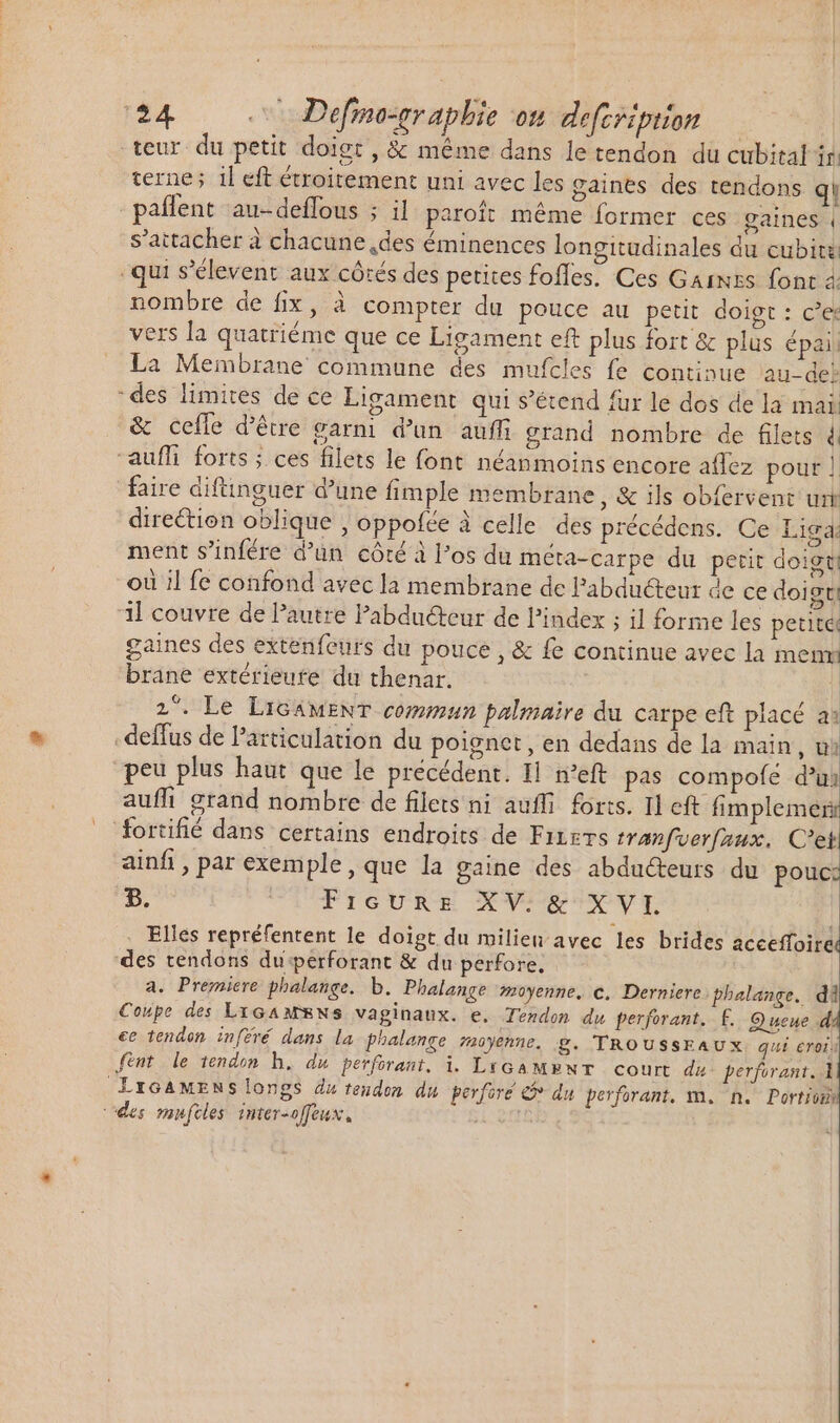 teur du petit doigt , &amp; même dans le tendon du cubital ir: terne; il eft étroitement uni avec les gaines des tendons qi paffent au-deffous ; il paroit méme former ces gaines | s'attacher à chacune ,des éminences longitudinales du cubiti -qui s'élevent aux côtés des petites fofles. Ces Gaines font 4 nombre de fix, à compter du pouce au petit doigt : c'e: vers la quatriéme que ce Ligament eft plus fort &amp; plus épail La Membrane commune des mufcles fe continue aude: :des limites de ce Ligament qui s'étend fur le dos de la mai &amp; celle d’être garni d'un auffi grand nombre de filets 4 “aufli forts ; ces filets le font néanmoins encore affez pour | faire diftinguer d'une fimple membrane, &amp; ils obfervent uri direction oblique , oppofée à celle des précédens. Ce Liga: ment s'infére d’un côté à l'os du meta-carpe du petit doigt où il fe confond avec la membrane de Pabduéteur de ce doigt; 1l couvre de l’autre Pabduéteur de l'index ; il forme les petite gaines des extenfeurs du pouce , &amp; fe continue avec la menv brane extérieure du thenar. 14 1. Le LIGAMENT commun palmaire du carpe eft placé a: . deffus de l'articulation du poignet, en dedans de la main, ui peu plus haut que le précédent. I n’eft pas compofé d'u auffi grand nombre de filets ni auffi. forts. Il eft fimplemerr fortifié dans certains endroits de Firzrs tranfverfaux. m ainfi, par exemple, que la gaine des abdu&amp;teurs du pouc 8. | FIGURE X VAR NV VI. . Elles repréfentent le doigt du milien avec les brides accefloire des tendons du perforant &amp; du perfore. a. Premiere phalange. b. Phalange moyenne, c. Derniere phalange. di Coupe des LiGamMENS vaginaux. e. Tendon du perforant. f. Queue d, ee tendon inffré dans la phalange moyenne. g. TROUSSsEAUX qui eroii fint le tendon bh. dw perforant. i. LtGAMENT court du perforant. 1 LroaMENslongs du tendon du perforé &amp; du perforant, m. n. Portion des mufcles inter-offeux., ef