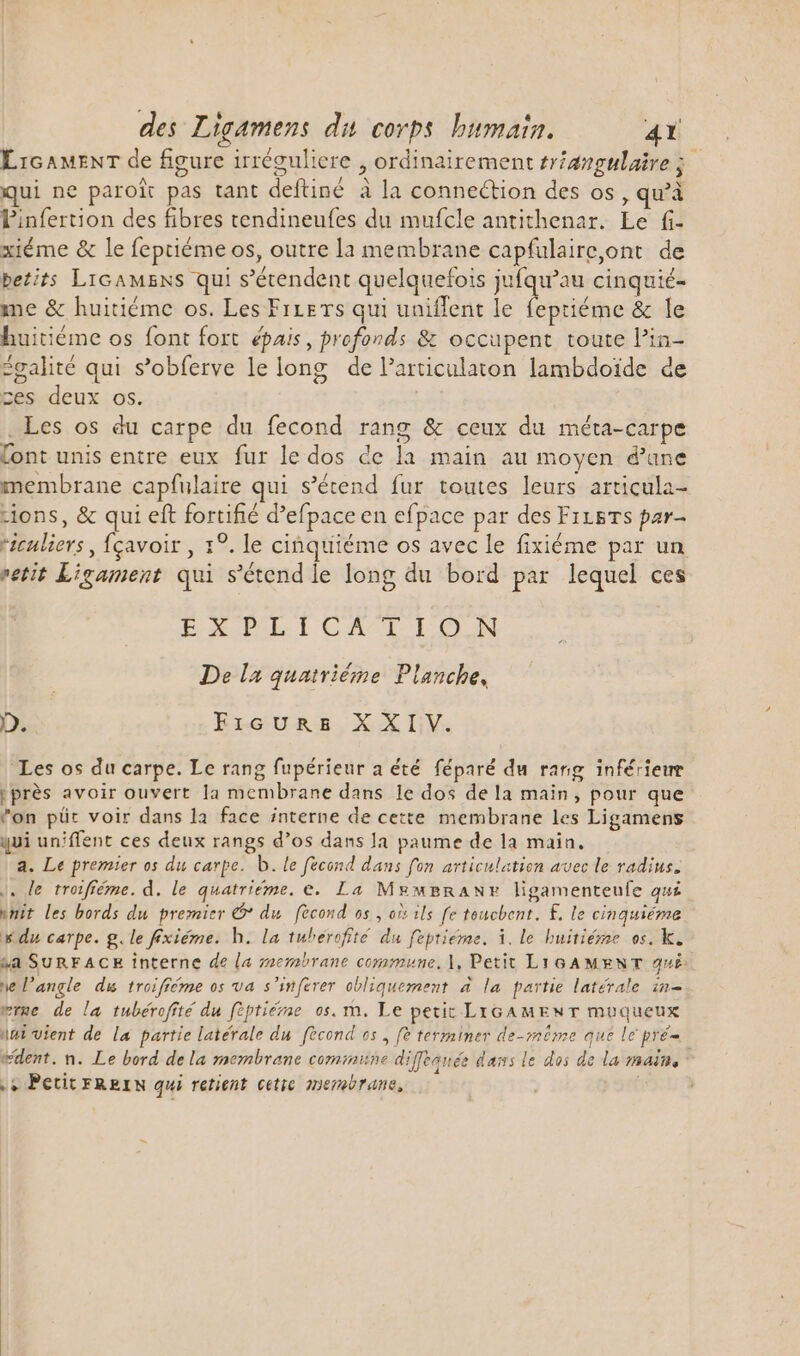 LIGAMENT de figure irréguliere , ordinairement sréangulaire ; ui ne paroi pas tant deftiné à la connection des os , qu’à Pinfertion des fibres tendineufes du mufcle antithenar. Le fi. xiéme &amp; le feptiéme os, outre la membrane capfulaire,ont de betits LicAMENS qui s'étendent quelquefois jufqu'au cinquié- me &amp; huitiéme os. Les Fire rs qui uniflent le insane &amp; le huitiéme os font fort épais, profonds &amp; occupent toute Pin- égalité qui s'obferve le long de l’articularton lambdoide de ces deux os. . Les os du carpe du fecond rang &amp; ceux du méta-carpe ont unis entre eux fur le dos de la main au moyen d'une membrane capfulaire qui s'étend fur toutes leurs articula- sions, &amp; qui eft fortifié d'efpace en efpace par des Firgrs par- iculiers , fçavoir , 1°. le ciñquiéme os avec le fixiéme par un etit Ligament qui s'étendle long du bord par lequel ces EX PL CAT IL O.JIN De la quairiéme Planche, D. ErcURE, XXV. Les os du carpe. Le rang fupérieur a été féparé du rang inférieur | près avoir ouvert la membrane dans le dos de la main, pour que ^on püt voir dans la face interne de cette membrane les Ligamens qui uniffent ces deux rangs d'os dans Ja paume de la main, a. Le premier os du carpe. b. le fecond dans fon articulation avec le radius, J. le troifféme. d. le quatriéme. e. La MEMBRANE ligamenteufe quz wvmit les bords du premier &amp;* du fecond os , ois ils fe touchent. £. le cinquiéme du carpe. g. le fexiéme. h. la tuherofité du fepriéme. i. le huitiéne os. k. “a SuRFACE interne de la membrane commune, |, Petit LIGAMENT 45£ ne l'angle du troifiéme os va s'inferer obliquement à la partie latérale in- ere de la tubéroffté du fiptiéme os. m. Le petit LIGAMENT muqueux nai vient de la partie latérale du fécond os , (o terminer de-même que le pré- : dent. n. Le bord de la membrane commune diffeanée dams le dos de la main, .+ Petit FREIN qui retient ceti membrane,