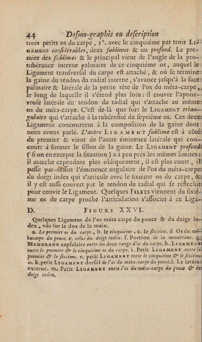 trois petits os du carpe , 1°. avec le cinquiéme par trois Li: GAMENS confidérables, deux fublimes &amp; un profond. Le pre- mier des fblimes &amp; le principal vient de l'angle de la. pro-. tubérance interne palmaire de ce cinquiéme os, auquel le: Ligament tranfverfal du carpe eft attaché , &amp; où fe termine: la gaine du téndon da radial interne , s'avance jufqu'à la face: palmaire &amp; látérale de la petite téte de Pos du méta-carpe ,, le long de laquelle il s'étend plus loin; il couvre l'apone-- vrofe latérale du tendon du radial qui s'attache au méme: os du méta-carpe, C'eft de-là que fort le LiGAMENT frian—- gslaire qui s'attache à la tubérofité du feptiéme os. Ces deux: Ligamens concourrent à là compofition de la gaine dont: nous avons parlé. L'aztre LIGAMENT fablime eft à côté du premier &amp; vient de l'autre éminence latérale qui con— court à former le fillon de la gaine. Le LiGAMENT profond ( fon en excepte la fituation ) a à peu prés les mêmes limites ;; il marche cependant plus obliquement , il eft plus court , ill paífe par-déifus l'éminence angulaire de l'os du méta- carpe: du doigt index qui s'articule avec le fixiéme os du carpe, &amp;x il y eft auffi couvert par le tendon du radial qui fe réflechiti pour couvir le Ligament. Quelques Fizets viennent du fixié me os du carpe proche l'articulation s'affocier à ce Liga-- D. ,.FreukRs XXVI. Quelques Ligamens de l'os méta carpe du pouce &amp; du doigt in-- dex, vüs fur le dos de la main. : 2, Le prezaier os du carpe , b. le cinquiéme , c. le fxiéme. d Os du mé facarpe dit pouce, e. celui du. doigt index. f, Portion de la membrane. g MEMBRANE capfulaire entre les deux rangs d'os du carpe, h. LiGAMEX entre le premier C le cinquiéme os du carpe. i. Petit LI GAMENT enire [6 frersier Ci le fixiéme. n. petic Li GAM ENT entre le cinquiéme € le ffxiésa es. K. petit LzGA MENT dorfal de los du méta-carpe du pouce.l. Le latéra: externe. m, Petit LicA MENT entre l'os duméta-carpe du pouce C dg doigt index,