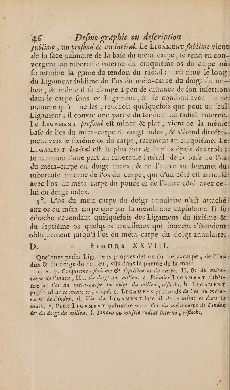 fuëlime , un profond &amp; un latéral. Le LiGAMENT fublime vient: de la face palmaire de la bafe du méta-carpe , fe rend en con vergent au tubercule interne du cinquiéme os du carpe oii fe termine la gaine du tendon du radial ; il ett fiwué le long: du Ligament fubiime de l'os du méra-carpe du doigt du mi-- lieu , &amp; méme il fe plonge à peu de diftance de fon infertionn dans le carpe fous ce Ligament, &amp; fe confond avec lui des maniere qu'on ne les prendroit quelquefois que pour un full Ligament ; il couvre une partie du tendon duradial interne.. Le LicamenT profond eft mince &amp; plat, vient de la méme: bafe de Pos du méta-carpe du doigt index , &amp; s'étend directe-. ment vers le fixiéme os du carpe , rarement au cinqviémc. Le: LiGAMENT latéral eft le plus tort &amp; le plus épais des trois Hn fe termine d'une part au tubercule latéral dela bafe de los; du méta-carpe du doigt index, &amp; de l'autre au. fommert dui tubercule interne de los du carpe, qui d’un côté ett articulé! avec l'os du méta-carpe du pouce &amp; de l'autre côté avec ce-. Jui du doigt index. $9. L'os du méta-carpe du doigt annulaire n'eft attaché! aux os du méta-carpe que par la membrane capíulaire. Il fe: détache cependant quelquefois des Ligamens du fixiéme &amp;: du feptiéme os quelques troufieaux qui fouvent s’étendene! obliquement jufqu'à l'os du méta-carpe du doigt annulaire, | D. . Ficurs XXVIII. Quelques petits Ligamens propres des os du méta-carpe , de l’ins: dex &amp; du doigt du milieu, vüs dans la paume de la main. s. 6. 7. Cinquieme , fixiéme € fèptiéme-os du carpe. 11. Os du métae carpe de l'index , M. du doigt du milieu. a. Premier LiGAMENT fubli-. me de l'os du éta-carpe du doigt du milieu , réflechi, b. LYGAMENT | profond de ce mêmes , coupé. c. LyGa MENS protonds de l'os du méta=: carpe de l'index. d. Ve du LreAMENT latéral de ce méme os dans lai main. c. Petit LIGAMENT palmaireentre l'os du méta-carpe de l'index : € du doigt du milieu. f. Tendon du mufile radial interne , reflechi,