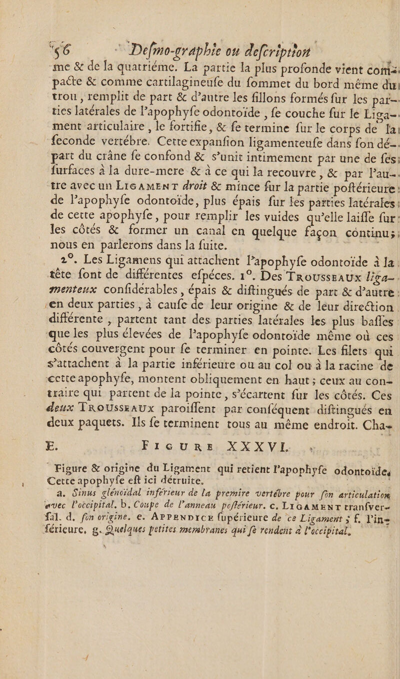 me &amp; de la quatriéme. La partie la plus profonde vient coma pace &amp; comme cartilagineufe du fommet du bord méme dui trou, remplit de part &amp; d'autre les fillons formés fur les par. ties latérales de l'apophyfe odontoide , fe couche fur le Liga=. ment articulaire , le fortifie, &amp; fe termine fur le corps de la: feconde vertébre. Cette expanfion ligamenteufe dans fon dé-. part du crâne fe confond &amp; s’unit intimement par une de fes; furfaces à la dure-mere &amp; à ce qui la recouvre, &amp; par Pau. tre avec un LIGAMENT droit &amp; mince fur la partie poftérieure : de l'apophyfe odontoide, plus épais fur les parties latérales: de cette apophyfe, pour remplir les vuides qu'elle laiffe fur: les cótés &amp; former un canal en quelque façon continu;; nous en parlerons dans la fuite. Ef 2°. Les Ligamens qui attachent l'apophyfe odontoide à la. tête font de différentes efpéces. 1°. Des TaousssAUx Liga menteux confidérables , épais &amp; diftingués de part &amp; d'autre : ren deux parties, à caufe de leur origine &amp; de leur direction . différente , partent tant des parties latérales les plus baffes | que les plus élevées de l'apophyfe odontoide méme où ces côtés couvergent pour fe terminer en pointe. Les filets qui s’attachent à la partie inférieure ou au col ou à la racine de €ctte apophyfe, montent obliquement en haut ; ceux au con- traire qui partent de la pointe , s'écartent fur les cótés. Ces deux TRoUsssAUx paroiffent par conféquent diftingués en deux paquets. Ils fe terminent tous au méme endroit. Cha- E. FIGURE Reb 4b AU PMET. Figure &amp; origine du Ligament qui retient l'apophyfe FERA Cette apophyfe eft ici détruite. ^ a. Ginus gléncidal inférieur de la premire vertébre pour fón articulation avec l’occipital, b. Coupe de l'anneau pofférieur. c. LYGAMENT tranfver- fal. d. fin origine. e. APPENDICE fupérieure de ce Ligament ; £. Lin érieure, g. Quelques petites membranes qui fà rendent à l'occipital,