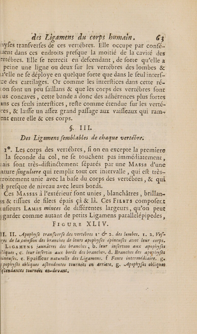 Ayfes tranfverfes de ces vertébres. Elle occupe pat confé lent dans ces endroits prefque la moitié de la cavité des *rtébres. Elle fe retrecit en defcendant , de forte qu'elle a peine une ligne ou deux fur les verrébres des lombes &amp; .'elle ne fe déploye en quelque forte que dans le feul interf- ce des cartilages. Or comme les interftices dans cette. ré- -on font un peu faillans &amp; que les corps des vertébres font ‘us concaves , cette bande a donc des adhérences plus fortes ans ces feuls interftices , refte comme étendue fur les verté- res, &amp; laiffe un aflez grand pailage aux vaifleaux qui ram. ent entre elle &amp; ces corps. SII Des Ligamens femblables de chaque vertébre: 1°. Les corps des vertébres , fi on en excepte la premiere la feconde du col, ne fe touchent pas immédiatement, sais font trés-diftinctement féparés par une Masse d’une nture frnguliere qui remplit tout cet intervalle , qui eft trés- troitement unie avec la bafe du corps des vertébres , &amp; qui + prefque de niveau avec leurs bords. Ces Massss à l'extérieur font unies , blanchátres , brillan- :s &amp; tiffues de files épais çà &amp; là. Ces Firsrs compofert tufieurs Lames minces de différentes largeurs, qu'on peut ;garder comme autant de petits Ligamens parallelépipedes , Fréure XLIV. IT. II. .Apophyfe tranfuerfe des vertébres y* 2. des lembes. x. 2, Vef- res de la cohefion des branches de leurs apophyfes épincufès avec leur corps. LiGAMENS jaunatres des branches, b. leur infértion aux apophyfès Miques , c. leur infertin aux bords des branches. d. Branches des apophyfès uneufes, e. Epaiffeur naturelle des Ligamens. f Fente intermédiaire, ga ppophyfes obliques aftendentes tournées en arriere, g. LApophyfés obliques Léndantes tournées €n«devant, ]