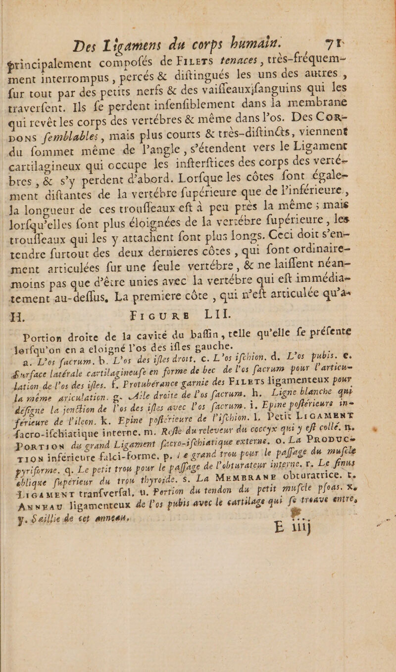 principalement compofés de FILETS femaces, trés-fréquem- ment interrompus , percés &amp; diftingués les uns des autres , fur tout par des petits nerfs &amp; des vaifleauxifanguins qui les traverfent. Ils fe perdent infenfiblement dans la membrane qui revêt les corps des vertébres &amp; même dans los. Des Cor- pons femblables, mais plus courts &amp; très-diftinéts, viennent du fommet méme de langle, s'étendent vers le Ligament cartilagineux qui occupe les infterftices des corps des verié- bres, &amp; s'y perdent d’abord. Lorfque les cótes font égale- ment diftantes de la vertébre fupérieure que de l'inférieure., Ja longueur de ces trouffeaux eft à peu prés la méme ; mais | lorfqu'elles font plus éloignées de la vertébre fupérieure , les trouffeaux qui les y attachent font plus longs. Ceci doit s’en- tendre furtout des deux dernieres côtes , qui font ordinaire- ment articulées fur une feule vertébre , &amp; ne laiflent néan- moins pas que d’être unies avec la vertébre qui eft immédia- tement au-deflus, La premiere côte , qui n'eft articulée qu'a H. Fieure LII. Portion droite de la cavité du baffin, telle qu'elle fe préfente Jerfqu'on en a eloigné l'os des ifles gauche. a. L^os facrum. b. L'os des ifles droit. C. L'os iftbien. d. L'os pubis. €. Surface latérale cartilagineufe en forme de bec de l'os facrum. pour larticu= lation de l'os des ifles. £. Protubérance garnie des FiLETS ligamenteux pour la même Aariculation. g- Ale droite de l'os facrum. h. Ligne blanche qui défigne la jen&amp;tion de los des ifles avec l'os facrum. i. Epine pofférieure in férieure de l'ileon. k. Epine poficrieure de lifibion. ]. Petit LIGAMENT #acro-ifchiatique interne. m. Refle du releveur du coccyx qui y eft. collé. n, Ponrio0w du grand Ligament facro=ifèhiatique externe. ©. La PRoDUCe 1108 inférieure falci-forme, p. / e gran trou pour le paffage du mufile pyriforme. q. Le petit trou pour le palfage de l'obturatewr interne, v. Le finus eblique fupérieur du trou thyresde. S. La MEMBRANE obturatrice. t, XioaMENT tranfverfal, u. Portion du tendon du petit mufcle pfoas. Xe Anneau ligamenteux de los pubis avec le cartilage qui fé treave eme, y. Saillie de cet anncan,