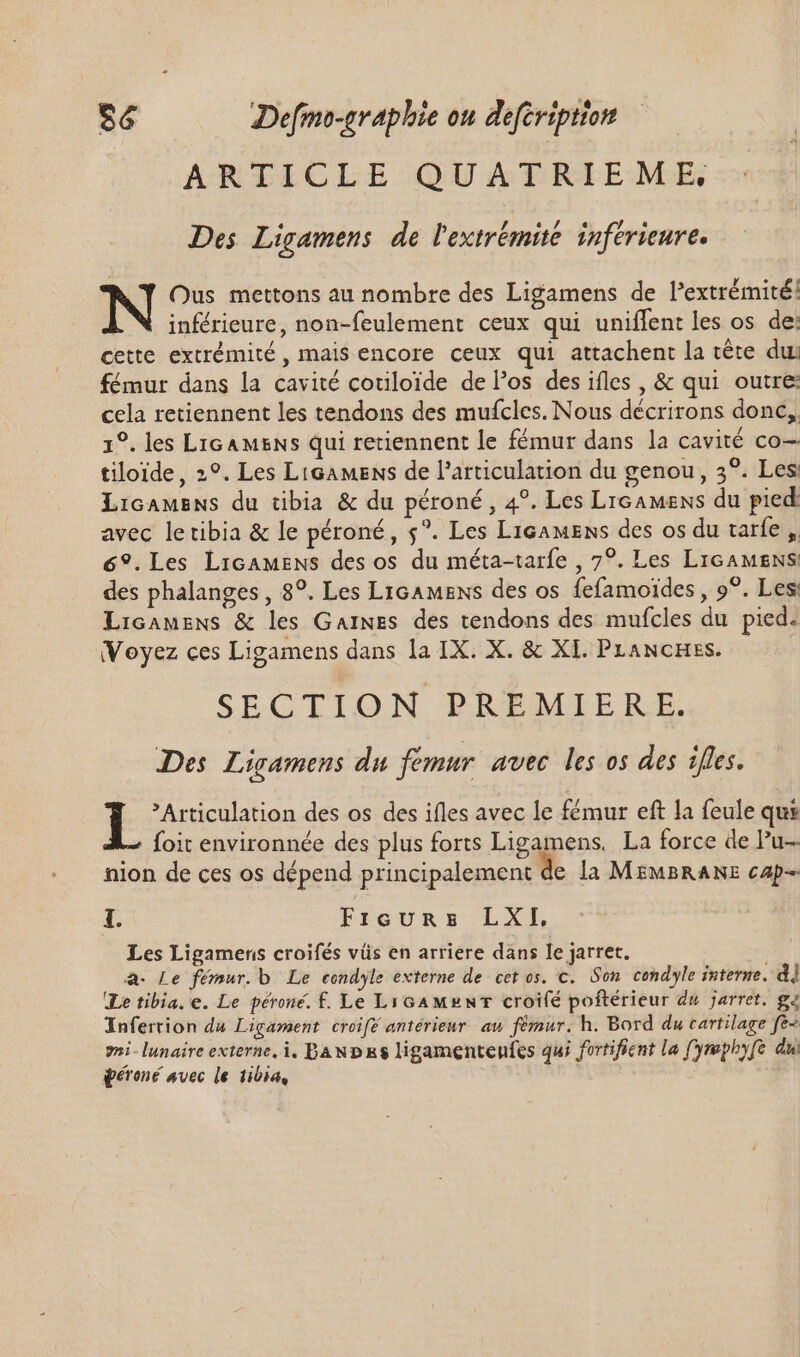 ARTICLE QUATRIEME Des Ligamens de l'extrémité. inférieure. N Ous mettons au nombre des Ligamens de l'extrémité! inférieure, non-feulement ceux qui uniflent les os de: cette extrémité , mais encore ceux qui attachent la téte du: fémur dans la cavité cotiloïde del'os des ifles , &amp; qui outre: cela retiennent les tendons des mufcles. Nous décrirons donc, 1°. les Lic AMENS qui retiennent le fémur dans la cavité co— tiloide, 2°. Les LiGamens de l'articulation du genou, 3°. Les Licamsns du tibia &amp; du péroné , 4°. Les Licamens du pied. avec letibia &amp; le péroné, $?. Les Licamens des os du tarfe , 69.Les Licamens des os du méta-tarfe , 7°. Les LIGAMENS des phalanges , 8°. Les LicAMENs des os fefamoides , 9°. Les Licamens &amp; les Gaines des tendons des mufcles du pied. Voyez ces Ligamens dans la IX. X. &amp; XI. PLancHes. SECTION PREMIERE. Des Ligamens du femur. avec les os des ifles. i ’Articulation des os des ifles avec le fémur eft la feule qus 2 foit environnée des plus forts Ligamens. La force de lu nion de ces os dépend principalement de la MEMBRANE cap I. Freurs LXI, Les Ligamens croifés vüs en arriere dans le jarret. à. Le fémur. b Le condyle externe de cet os. c. Son condyle interne. d Le tibia. e. Le pérone. f£. Le LiGAME NT croifé poftérieur du jarret. ge Infertion du Licament croifé antérieur aw fémur. h. Bord du cartilage fe- oi- lunaire externe, i. BAND R$ ligamentenfes qui fortifient la (yrephyfe du géroné avec le tibia,