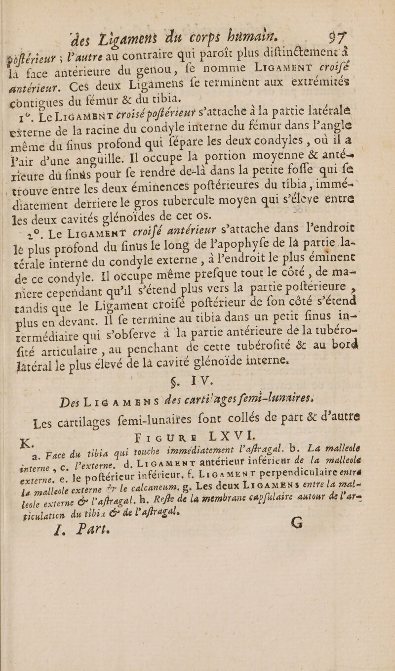 poflérieur ; l'autre au contraire qui parot plus diftin&amp;emenc à jà face antérieure du genou, fe nomme LrGAMENT croifé antérieur. Ces deux Ligämens fe terminent aux extrémités contigues du fémur &amp; du tibia. 1°. Le LicAMsr croisé pofférieuy s'attache à la partie latérale eterne de la racine du condyle interne du fémur dans l'angle méme du finus profond qui fépare les deux condyles , ou il a Pair d'une anguille. Il occupe là portion moyenne &amp; anté- xieure du finis pour fe rendre de-là dans la petite foffe qui fe trouve entre les deux éminences poftérieutes du tibia , immé- diatement derriere lé gros tubercule moyen qui s'éleye entre les deux cavités glénoïdes de cet os. 49. Le LicamenT eroifé antérieur s’attache dans l'endroit 1e plus profond du finus le long de Papophyfe de là partie la- térale interne du condyle externe , à l'endroit le plus éminent de ce condyle. Il occupe méme prefque tout le côté , de ma- niere cependant qu'il s'étend plus vers la partie poiterieure , tandis que le Ligament croifé poftérieur de fon cóté s'étend plus en devant. Ii fe termine au tibia dans un peut finus in= rermédiaire qui s’obferve à la partie antérieure de la tubéro- fité articulaire , au penchant de cette tubérofité &amp; au bord B Jatéral le plus élevé de là cavité glénoide interne. $6 EV De LiaAMzNs des carti'ages fem-lunaires, Les cartilages femi-lunaires font collés de part &amp; d'autre K Fieurs LXVL a. Face du tibia qui touche immédiatement l'aftragal. b. La malleole interne , C. l'externe. d. Licamenr antérieur inférieur de [2 malleole externe. e. le poftérieur inférieur, £. LiGAMENT perpendiculaire entre La malleole externe ?r le calcantum. g. Les deux L1 cAMEN ss entre la mal« leole externe C Paftragal. h. Refle de là membrane capfulaire autour dt Pate ticulation du tibia C de l'aflragal. ; fe; Part G