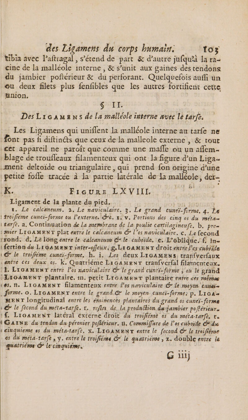 tibia avec Paftragal , s'étend de part &amp; d'autre jufqu’à la ra- cine de la malléole interne , &amp; s'unit aux gaines destendons du jambier poftérieur &amp; du perforant. Quelquefois auffi un ou deux files plus fenfibles que les autres fortifient cette union. $ IL. | Des Lrcausns de la malléole interne avec le tavfe, Les Ligamens qui uniffent la malléole interne au tarfe ne dont pas fi diftin&amp;ts que ceux de la malleole externe , &amp; tout cet appareil ne paroît que comme une maffe ou un affem- blage de troufleaux filamenteux qui ont la figure d'un Liga. -ment deltoide ou triangulaire , qui prend fon origine d'une petite fofle tracée à la partie latérale dela malléole, dei- KK. FicUunz LXVIIL pos Ligament de la plante du pied. 1. Le calcaneum. 2. Le naviculaire. 3. Le grand cuneï-firme, 4. Le | $roifféme cuner-forme ou l'externe. 6. x. v. Portions des cinq os du méta- | arf. a. Continuation de Ja membrane de La poulie cartilagineufe, b. pre- ‘#ner LIGAMENT plat extre le calcaneum C los naviculaire. c. Le fecond trond. d. Le long entre le calcaneusz C* le cuborde. e. L'oblique. f. 1n- i fertion du Lr GA MENT inter-offeuix, g.LYGAMENT droit entre lcs cuboide (€ le troifféme cunei-forme. h. i. Les deux LIGAMENS, tranfverfaux ventre ces deux os. k. Quatriéme Licamenr tranfverfal filamenteux. 11. LIGAMENT entre los naviculaire * le grand cunei-forme j on le grand :LrGAmMENT plantaire. in. petit LiGAmenT plantaire entre ces mêmes ‘es. n. LIGAMENT filamenteux entre dos naviculaire 65 le moyen cuneï= , forme. o. LIGAMENT entre le grand. le moyen cuneï-forme: p. L1GA« MENT longitudinal entre les éminences plantaires du grand os cunez-forme (€ le fecond du méta-tarfe. v. refles de la produttion du-jambier pofférieur. if LicamenT latéral éxterne droit du troifiéme os du méta-tarfé. v. (Garwz du tendon du péronier poflérieur, Y. Commiffure de l'os cubozde du | einquieme os du méta-tarfe. x. LiGAMBNT entre le fecond C le troifféme es du méta-tarfe, y. entre le troifiéme C le quatriéme , z. double entre ie quatriéme &amp; Le cinquiéme. | G iiij