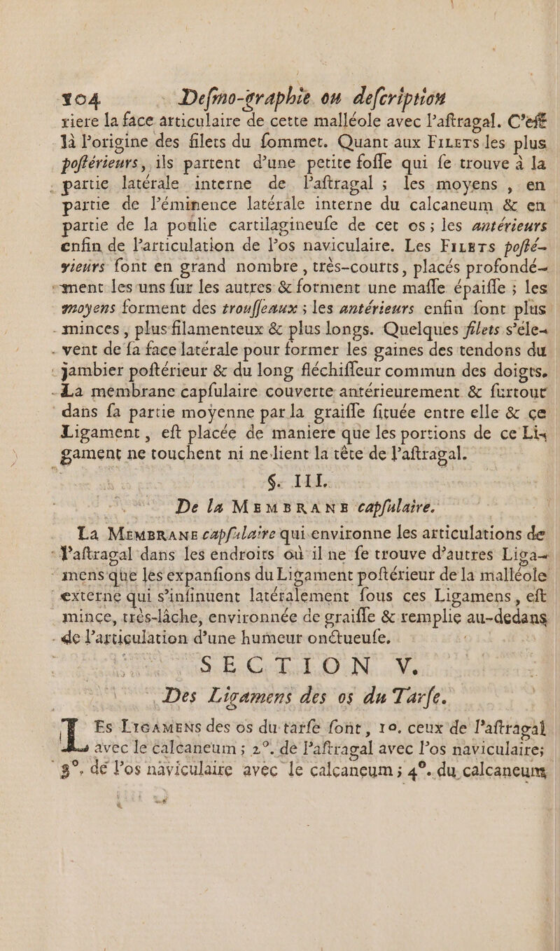 xiere la face articulaire de cette malléole avec l'aftragal. C'eft là l'origine des filets du fommet. Quant aux Fiers les plus poftérieurs, ils partent d'une. petite foffe qui fe trouve à la . partie latérale interne de l'aftragal ; les moyens , en partie de l'éminence latérale interne du calcaneum &amp; en partie de la poulie cartilagineufe de cet os; les antérieurs enfin de larticulation de los naviculaire. Les Fiers joffé- vieurs font en grand nombre, très-courts, placés profondé- ment les uns fur les autres &amp; forment une mafle épaiffe ; les moyens forment des zrou[femux ; les antérieurs enfin font plus: - minces, plusfilamenteux &amp; plus longs. Quelques filets s'éle- . vent de fa face latérale pour former les gaines des tendons du . jambier poftérieur &amp; du long fléchiffeur commun des doigts. -La membrane capfulaire couverte antérieurement &amp; furtour dans fa partie moyenne par la graifle fituée entre elle &amp; ce Ligament, eft placée de maniere que les portions de ce Li4 gament ne touchent ni ne lient la tête de l'aftragal. SE De la MEMBRANE capfulaire. La MzrwBRANE capf»laire qui.environne les articulations de : Paftragal dans les endroits où il ne fe trouve d’autres Liga  mens que les expanfions du Liyament poftérieur de la malléole externe qui s’infinuent latéralement fous ces Ligamens , eft mince, trés-làche, environnée de graiffe &amp; remplie au-dedans - de Particulation d'une humeur onctueufe, | a ONE aM, Des. Ligamens des os du Tarfe. (p Es Licamens des os du tarfe font, ro. ceux de l’aftragal 4A» avec le caleaneum ; 2°. de l'aftragal avec Pos naviculaire; 3^. de los nàviculaire avec le calcaneum ; 4°. du calcaneung m 1