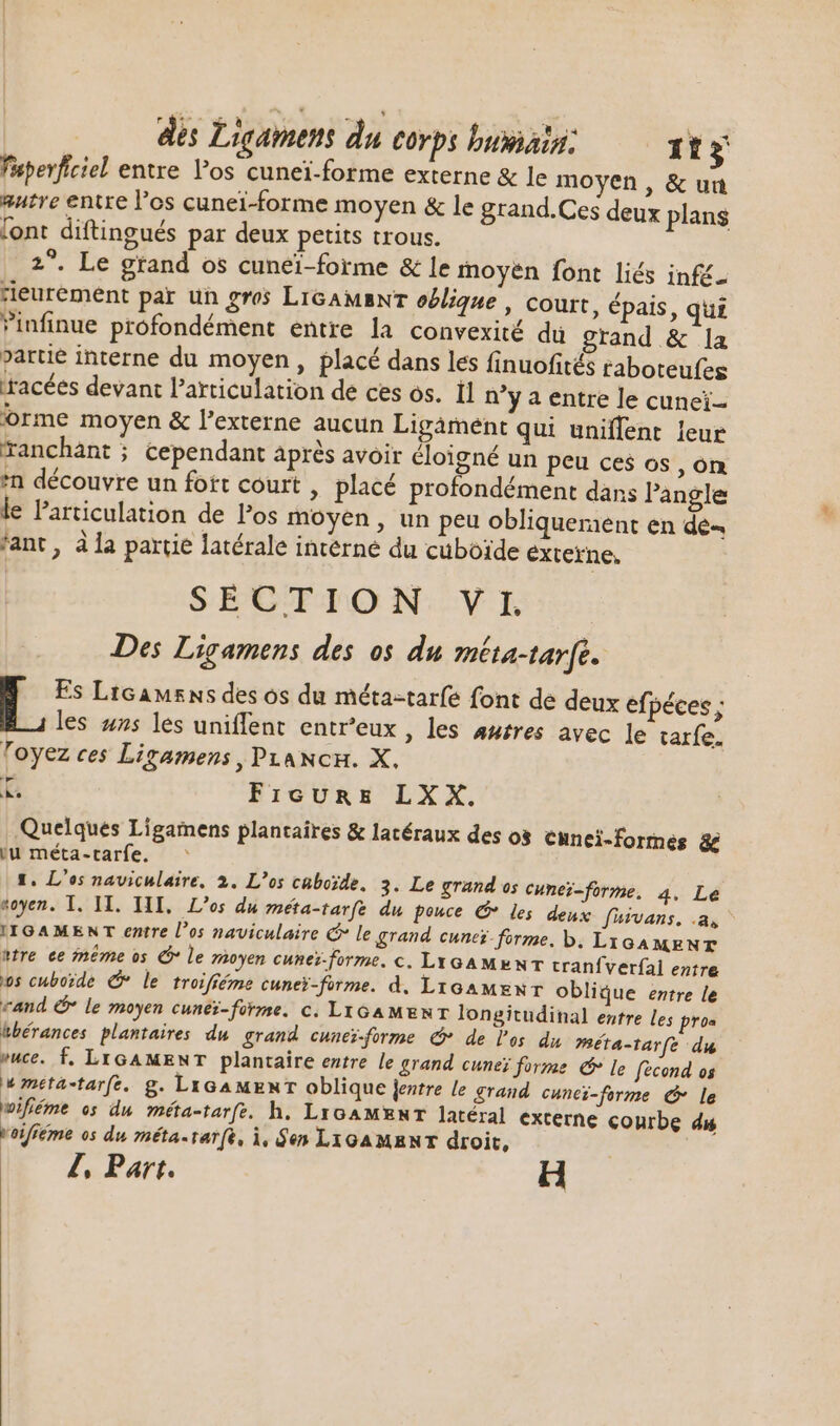 fsperficiel entre los cunei-forme externe &amp; le moyen, sutre entre l'os cunei-forme moyen &amp; le grand.Ces deux lont diftingués par deux petits trous. 2^. Le grand os cunei-forme &amp; le moyen font liés infé- eurement par un gros LIGAMBNT oblique, court, épais, quiz ’infinue profondément entre la convexité du grand &amp; la partie interne du moyen, placé dans les finuofités raboteufes racées devant l'articulation de ces os. il n’y a entre le cunei- orme moyen &amp; l'externe aucun Ligämént qui uniffent leur Tanchant ; cependant aprés avoir éloigné un peu ces os, on *n découvre un fott court , placé profondément dans l'angle le articulation de Pos moyen, un peu obliqueraent en de fant, à la partie latérale intérné du cuboide externe, SECTION VL Des Ligamens des os du méta-tar[t.. Es Licamsns des os du méta-tarfe font de deux efpéces ; les s les uniffent entr'eux , les au£res avec le tarfe. Toyez ces Ligamens , PLANcH. X. i FIGURE LXX. Quelques Ligamens plantaires &amp; latéraux des os cunei-formes &amp; iu méta-tarfe. 1. L'os naviculaire, 2. L'os caboïde, 3. Le grand os cuneï-forme, 4. Le soyen. I. II. HI, L'os du méta-tarfe du pouce C les deux fuivans, .a, IIGAMENT entre l'os naviculaire € le grand cunez-forme. b, Lx GAMENT atre ee même os C le moyen cunes-forme. c. LIGAMENT cranfverfal entre os cuborde € le troifiéme cuneï-ferme. d. Licamexr oblique entre le rand &amp; le moyen cunér-forme. c. LIGAMENT longitudinal entre les pros hbérances. plantaires du grand cuner-forme C de l'os du Méta-tarfe du vuce. f, LIGAMENT plantaire entre le grand cunei forme € le fecond os wmeta-tarfe. g. LIGAMENT oblique jentre le grand cuneï-forme C le wifiéme os du méta-tarfe. h. LrGAMENT latéral externe courbe da veifiéme os du métasrarfe, i, Sen LIGAMENT droit, Z Part. H &amp; ua plans