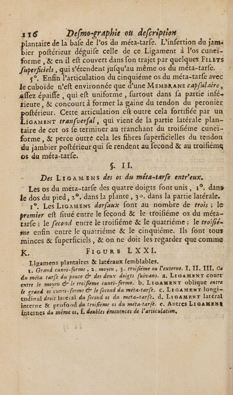 lantaite de la bafe de los du méta-taríe. L'infertion du janti bier poftérieur déguife celle de ce Ligament à Pos cunei- forme , &amp; en il eft couvert dans fon trajet par quelques Fizers Jéperficiels , qui s'étendent jufqu’au méme os du méta-tarfe, - $9. Enfin Particulation du cinquiéme os du méta-tarfe avec le cuboide n'eft environnée que dune MEMBRANE capfulaire, Alfez épaiffe , qui eft uniforme , furtout dans fa partie infé- tieure, &amp; concourt à former la gaine du tendon du peronier oftérieur. Cette articulation eft outre cela fortifiée par un i tranfvuerfal, qui vient de la partie latérale plan- taire de cet os fe terminer au tranchant du troifiéme cuneï- forme, &amp; perce outre cela les fibres fuperficielles du tendon du jambier poftérieur qui fe rendent au fecond &amp; au troifiémq os du méta-tarfe. $ Lh Des LicaAMmMEens des os du méta-tarfe entr'eux. - Les os du méta-tarfe des quatre doigts font unis, 1°. dans le dos du pied, 2°. dans la plante , 5^. dans la partie latérale. 19. Les Licamens dorfaux font au nombre de #rois ; le premier eft fitué entre le fecond &amp; le ttoifiéme os du méta- tarfe ; le fzcond. entre le troifiéme &amp; le quatriéme ; le zrojfié- ne enfin entre le quatriéme &amp; le cinquiéme. Ils font tous minces &amp; fuperficiels , &amp; on ne doit les regarder que comme K. Fieurs LXXI. Ligamens plantaires &amp; latéraux femblables. 1. Grand cunes-forme , 2. moyen, 3. troifiéme ou l'externe. Y, YT. TIT, Oe du méta tarfe du pouce C des deux doigts fuivans. a. LIGAMENT court entre le moyen C le troifieme cuneï-forme. b. LtGAMENT oblique entre le grand os cunt - forme € le fecond du méta-tarfe. c. LYGAMENT longi- tudinal droit lacéral du fécond os du méta-tarfe. d. LYoAMENT latéral interne &amp; profond du troiffezae os du méta-tarfe. e. Autres LIGAMENS internes du même os, £, doubles émintnces de l'articulation,