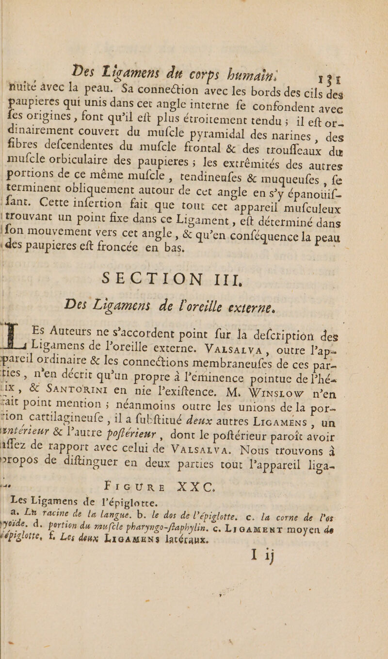 nuité avec la peau. Sa connection avec les bords des cils des paupieres qui unis dans cer angle interne fe confondent avec fes origines , font qu'il eft plus étroitement tendu ; il et or. dinairement couvert du mufcle pyramidal des narines, des fibres defcendentes du mufcle frontal &amp; des trouffeaux du muícle orbiculaire des paupieres ; les extrémités des autres portions de ce méme mufcle , tendineufes &amp; inuqueufes , fe terminent obliquement autour de cet angle en s'y épanoüif- .fant. Cette infertion fait que tout cet appareil mufculeux | trouvant un point fixe dans ce Ligament , eft déterminé dans ifon mouvement vers cet angle, &amp; qu'en conféquence la peau «des paupieres eft froncée en bas. E SECTION III, Des Ligamens de l'oreille externe, ] i Es Auteurs ne s'accordent point fur la defcription des Ligamens de l'oreille externe. VALsArvA , outre l'ap- pareil ordinaire &amp; les connections membraneufes de ces par- Lies, n'en décrit qu'un propre à l’éminence pointue de l'hés x, &amp; SANTORINI en nie l'exiftence. M. WiNsrow n’en . ait point mention ; néanmoins outre les unions de la por- ion cattilagineufe , il a fubftitué deux autres LicAMENS , un A » / à hat ^ E #ntérieur &amp; l'autre pofférieur , dont le poftérieur paroit avoir iffez de rapport avec celui de Varsaiva. Nous trouvons à propos de diftinguer en deux parties tout l'appareil liga- Le Fr QUR EX NC, | Les Ligamens de l’épiglotte. 2 Lu racine de la langue. b. le dos de l’épighotte. c. la corne de l'as yoide. d. portion du mufcle pharyngo-flaphylin. c. LiGAMENT moyen de fépiglotte, £. Les deux LxoAMENS latéraux.