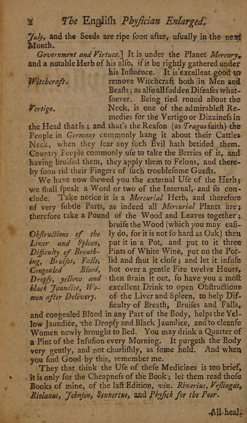 a OThe Englith Phyfii hcian Enlarged: Seok Fubyy and the Seeds are nips foon after, sg in the- next Month. Gruscombet dnd Viriuen ] ft is under ue Planet: Man and a notable Herb of his alfo, if it be rightly gathered under . his Influénce.’ “It is'excellent goodte: hi dual oe remove Witchcraft both.in Men and Beats; as alfoallfudden Difeafes what- | -foever. Being tied round about the tore. : Neck, is one of the admirableft Re- medies for the Vertigo or Dizzinefsin the Head hate is; and that’s the Reafon (as Tragus faith) the: - People in Germany commonly hang it about their Cattles: Neck, when they fear any fuch Evil hath betided_them.. ‘Countiy. Feeple commonly ufe to take the Berries of . it, and having bruifed them, they apply them to Felons, and there- by {oon rid their Fi ingers of fuch troublefome Guefts. We have now fhewed you the external Ufe of the Herbs: we fhall fpeak a Word or two of the Internal; and fo con- elude, Take notice it is a Mercurial Herb, and therefore: of very fubtle Parts, as indeed all Mercurial Plants are’: therefore take a Poand of the Wood' and Leaves together’s. bruife the Wood (which you may eafi-- e pe ee at Liver and Spleen, putitina Pot, .and put to it three Difficulty of Breath- Pints of White Wine, put on the Pot- ang, Bruifes, Falls, lid and fhut it clofe; and let it. infufe ~Congealed Blood, hot overa gentle Fire twelve Hours, _ Drepfy, yellow and ‘then ftrain it out, fo have you a moft black Faundice, Wo- excellent Drink to open Obftructions: men afr phat of the Liverand Spleen, to help Dif- ficulty of Breath, Bruifes and Falls,. Cand binrbeatéd Blood in any Part of the Body, helps the Yel-. low Jaundice, the Dropfy and Black Jaundice, and to cleanfe * ‘Women newly brought to Bed. You may drink a Quarter of | a Pint of the Infufion every Morning. It purgeth the Body very cently, and not churlifhly, as fome hold. And when “you find Good: by this, remember me. They that think the Ufe of thefe Medicines is too brief, _ Books of mine, of the laft Edition, viz. Riverius, Veflingas,