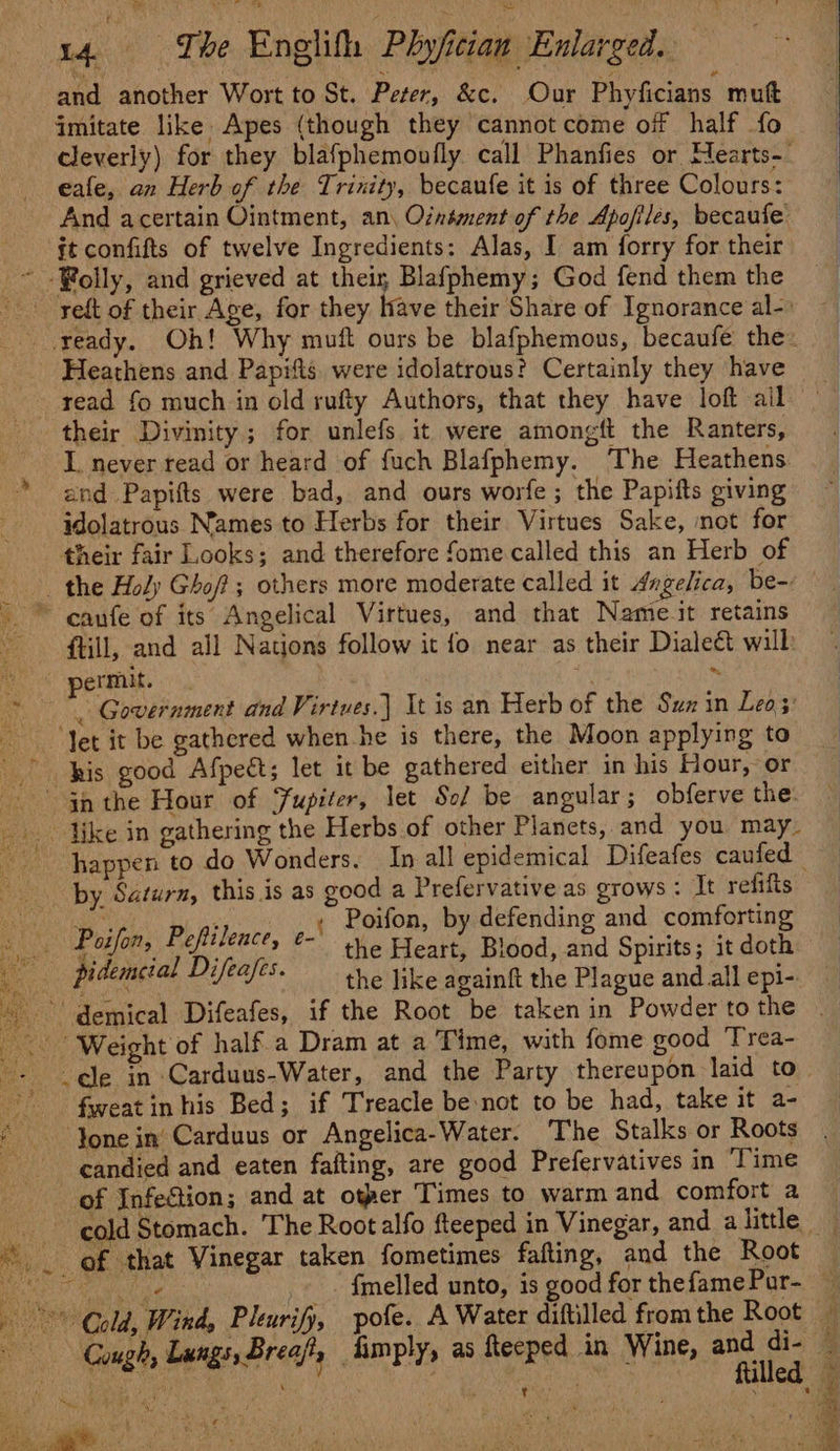 and another Wort to St. Peter, &amp;c. Our Phyficians mutt imitate like Apes (though they cannot come oi half fo eale, an Herb of the Trinity, becaufe it is of three Colours: it confifts of twelve Ingredients: Alas, I am forry for their _~ -Bolly, and grieved at their Blafphemy; God fend them the Heathens and Papifts were idolatrous? Certainly they have - read fo much in old rufty Authors, that they have loft ail their Divinity; for unlefs. it were amongft the Ranters, I. never read or heard of fuch Blafphemy. The Heathens and Papifts were bad, and ours worfe ; the Papifts giving idolatrous Names to Herbs for their Virtues Sake, mot for their fair Looks; and therefore fome called this an Herb of the Holy Ghofi; others more moderate called it Angelica, be-: ~* canfe of its Angelical Virtues, and that Name it retains ftill, and all Nations follow it fo near as their Diale&amp;t wilk permit. br Government and Virtues.) It is an Herb of the Sun in Leos: ‘Jet it be gathered when he is there, the Moon applying to his good Afpeét; let it be gathered either in his Hour, or gh the Hour of Fupiter, let Sof be angular; obferve the: like in gathering the Herbs of other Planets, and you. may. by Saturn, this is as good a Prefervative as grows : It refifts Pp _ oy ae Poifon, by defending and comforting Figs Posfon, ofitl a “the Heart, Blood, and Spirits; it doth pidemcial Difeafes. _ demical Difeafes, if the Root be taken in Powder to the &lt; | Weight of half.a Dram at a Time, with fome good Trea- fweat inhis Bed; if Treacle be-not to be had, take it a- ‘Jone in’ Carduus or Angelica-Water. The Stalks or Roots candied and eaten fafting, are good Prefervatives in ‘Time of Infection; and at other Times to warm and comfort a cold Stomach. The Root alfo fteeped in Vinegar, and a little He a3 Cough, Lungs, Brea}, imply, as Reeped in Wine, anes oe #1) 4 % Bi :