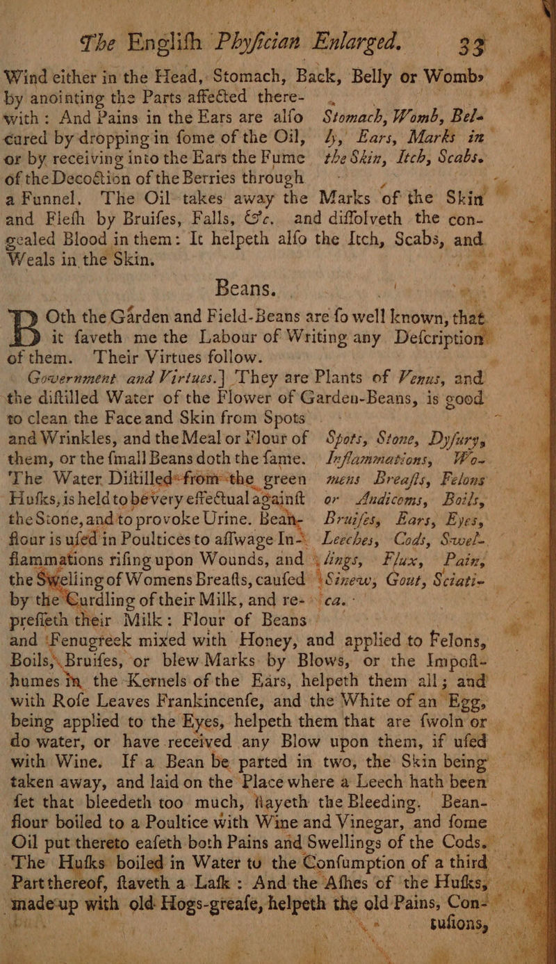 Wind either in the Head, Stomach, Back, Belly or Womb» by anointing the Parts affected there- i with : And Pains in the Ears are alfo Stomach, Womb, Bela eared by dropping in fome of the Oil, 4, Bark Marks in- or by receiving into the Ears the Fume the Skin, Itch, Scabs. of the Decoftion of the Berries through —- y : % a Funnel, The Oil-takes away the Marks of the Skin and Fleth by Bruifes, Falls, &amp;c¢. and difflofveth the con- gealed Blood inthem: It helpeth alfo the Itch, Scabs, and. Weals in the Skin. ‘ e = kf : Pi +a Beans. | eee BS Oth the Garden and Field-Beans are fo well att thes it faveth me the Labour of Writing any Pe pioran ofthem. Their Virtues follow. Gowernment and Virtues.) 'They are Plants of Penus, and) the diftilled Water of the Flower of Garden-Beans, is good to clean the Faceand Skin from Spots . - Mie and Wrinkles, andthe Meal or Flour of Spots, Stone, Dy/urys ‘them, or the fmall Beansdoththe fame. | Jxflammations, Wo- The Water Dittilled= from the 2 green mens Breafis, Felons Hiufks, is held tobevery effe@uala againft or Audicoms, Boils, the Sione, and’ to provoke Urine. Bea Bruifes, Ears, Eyes, flour is ufed in Poulticésto aflwageIn- Leeches, Cods, Sel. flammations rifing upon Wounds, and y4ngs, Flux, Pain, welling of Womens Breafts, caufed Sinews out, Sciati- ie €urdling of their Milk, and re-» ca. . prefieth their Milk: Flour of Beans and ‘F Fenugreek mixed with Honey, and applied to Felons, Boils, Bruifes, or blew Marks by Blows, or the Impoft- hivsige the Kernels of the Ears, helpeth them all; and’ with Rofe Leaves Frankincenfe, and the White of an ‘Egg, being applied to the Eyes, helpeth them that are fwoln or do water, or have received any Blow upon them, if ufed with Wine. If a Bean be parted in two, the Skin being taken away, and laidon the Placewhere a Leech hath been fet that bleedeth too much, ayeth the Bleeding. Bean- _ flour boiled to a Poultice with Wine and Vinegar, “and fome Oil put thereto eafeth both Pains and Swellings of the Cods. The Hutks boiled in Water tu the Confumption of a third mi Part thereof, ftaveth a Lafk : And the Afhes of the Hufks, | sat madeup with old: Hogs-greafe, acai the old Pains, Si iid’ ; oh Diet sullen